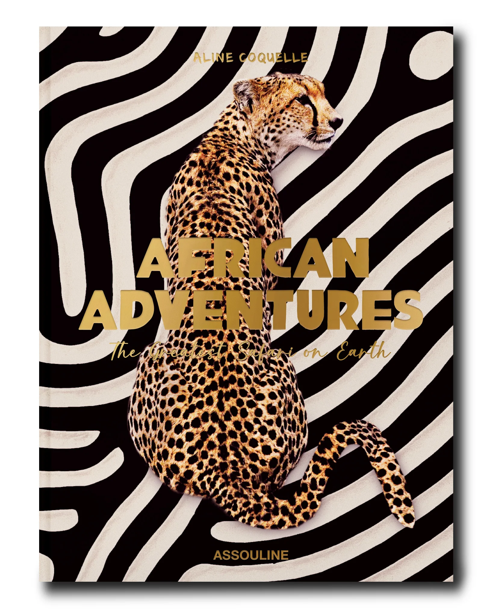 African Adventures: The Greatest Safari on Earth Book