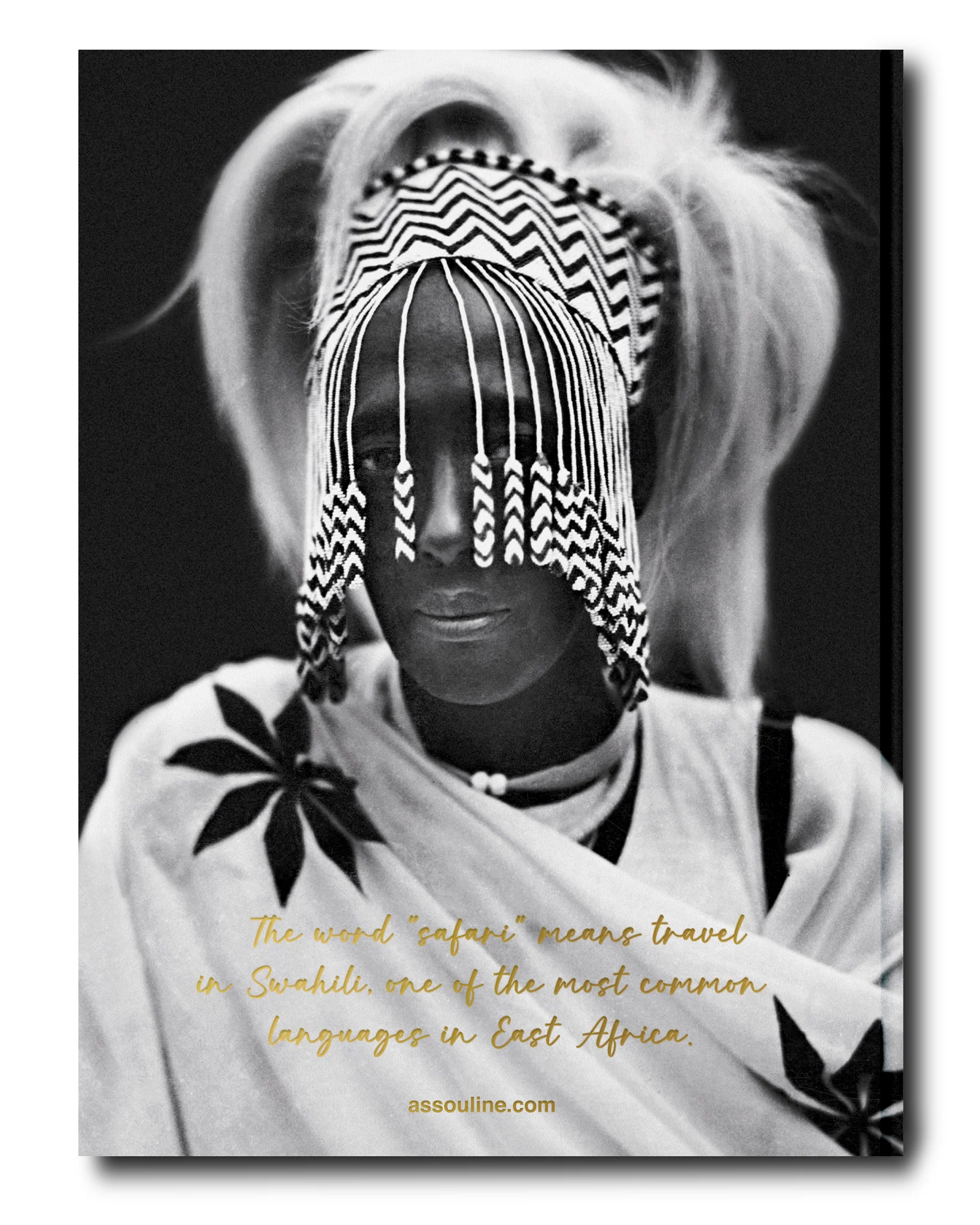 African Adventures: The Greatest Safari on Earth Book - Image 3