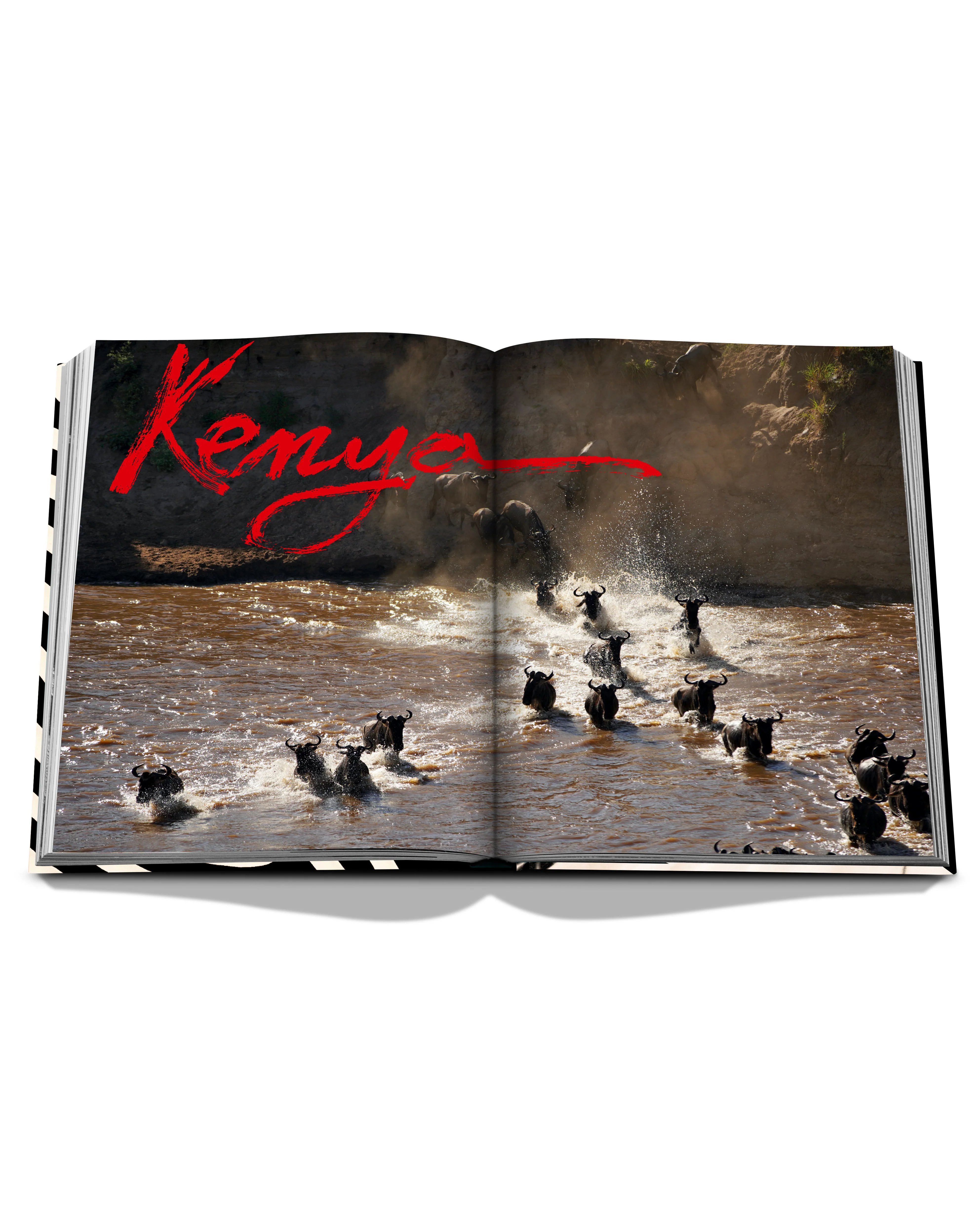African Adventures: The Greatest Safari on Earth Book - Image 4