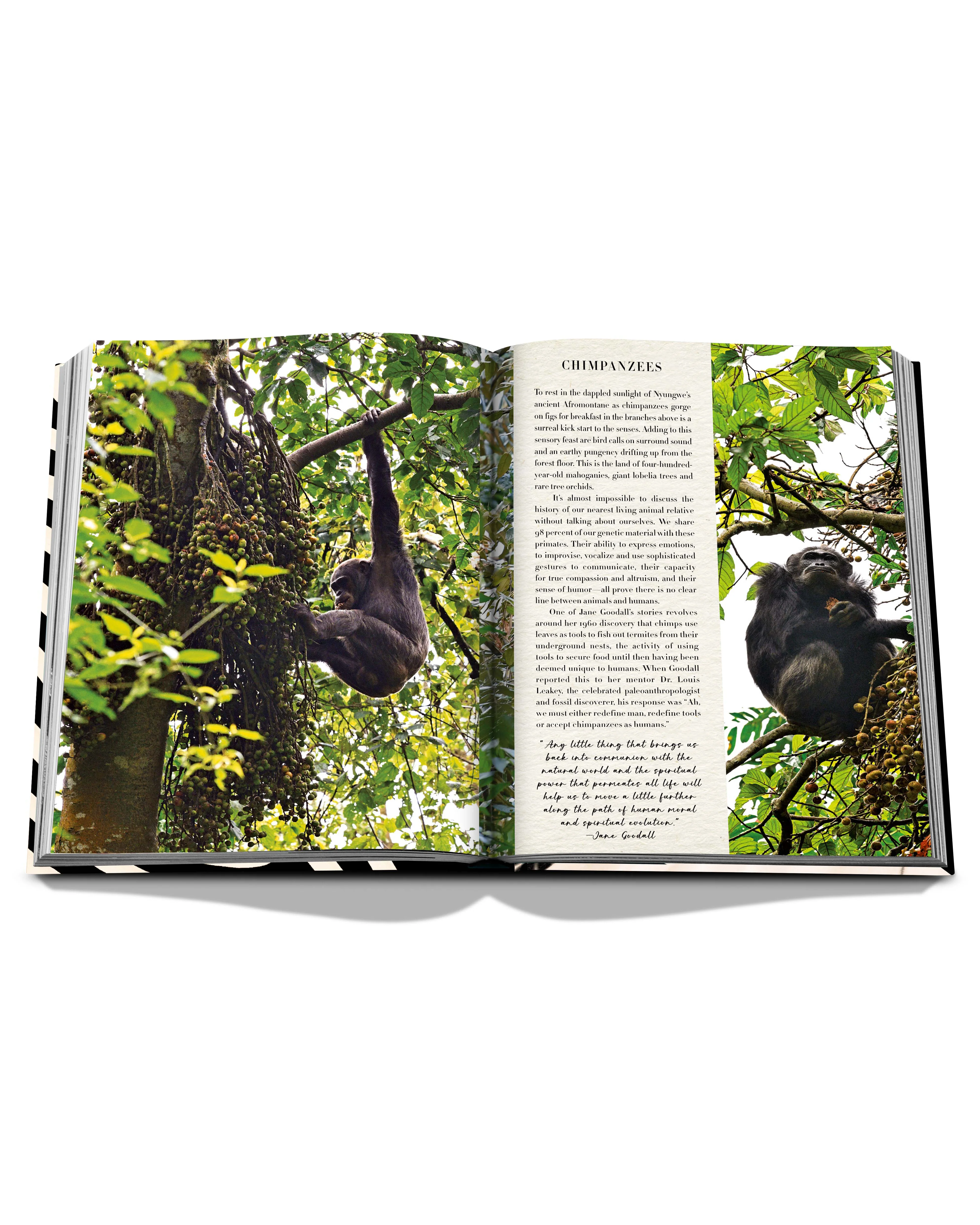African Adventures: The Greatest Safari on Earth Book - Image 5