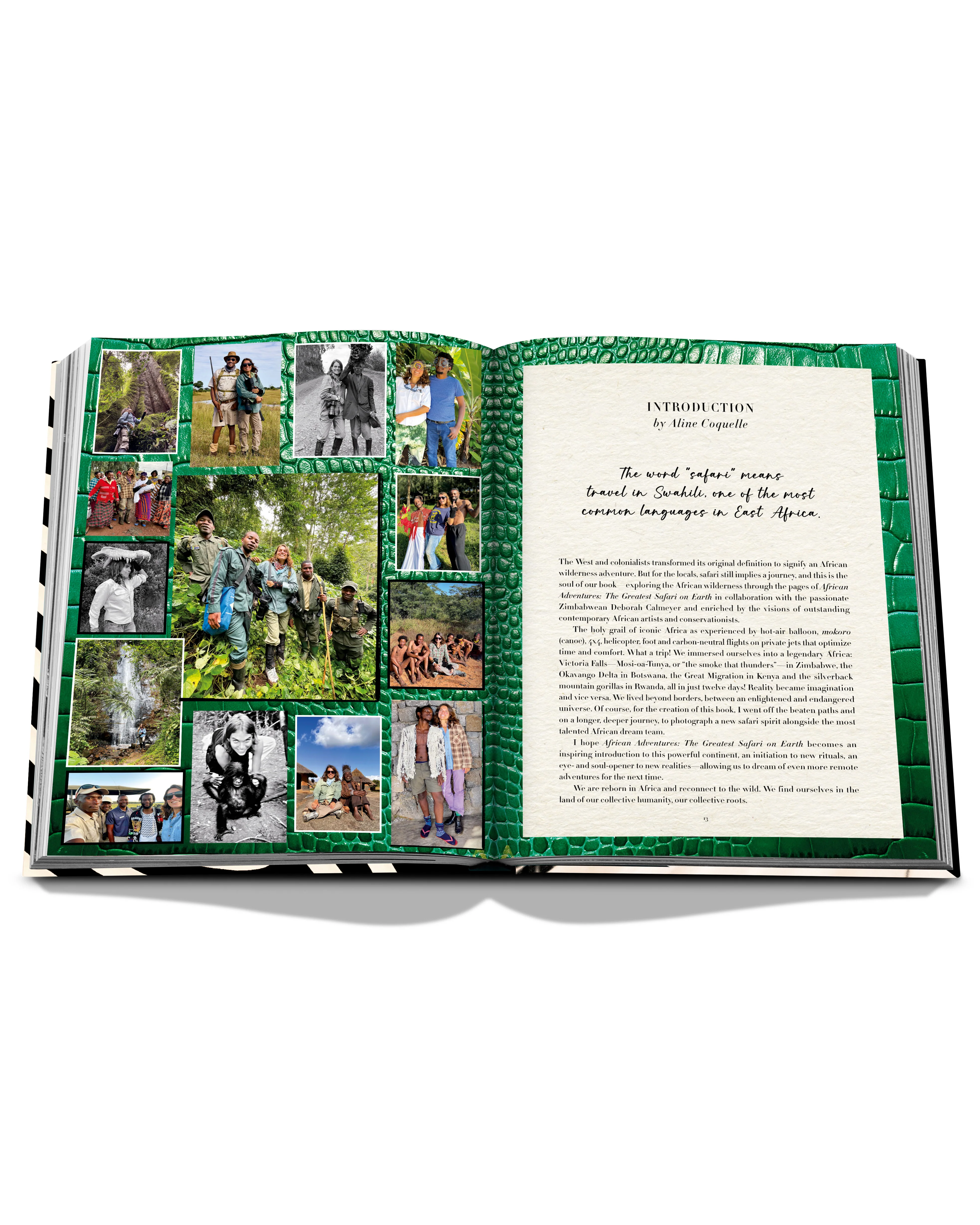 African Adventures: The Greatest Safari on Earth Book - Image 6