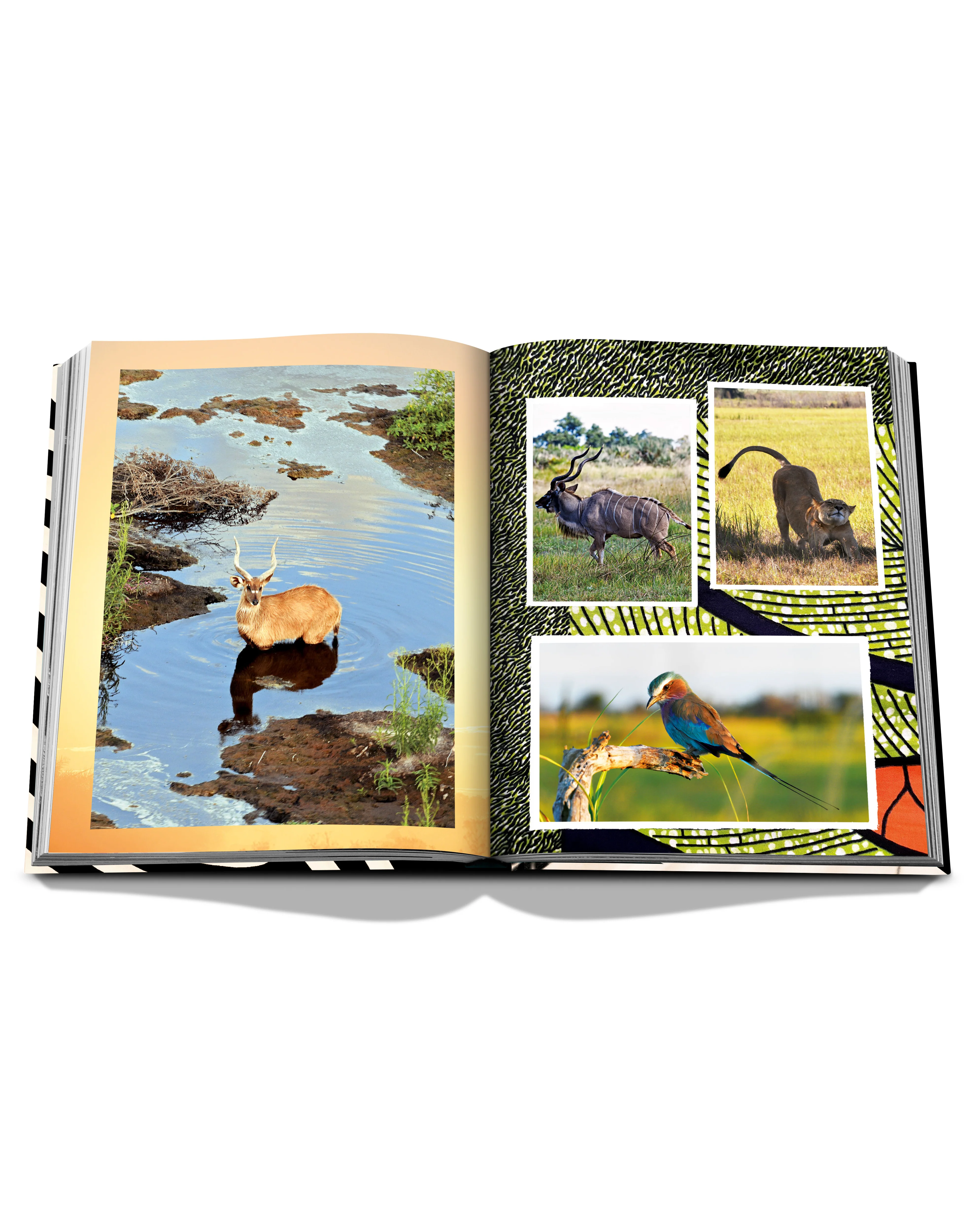 African Adventures: The Greatest Safari on Earth Book - Image 7
