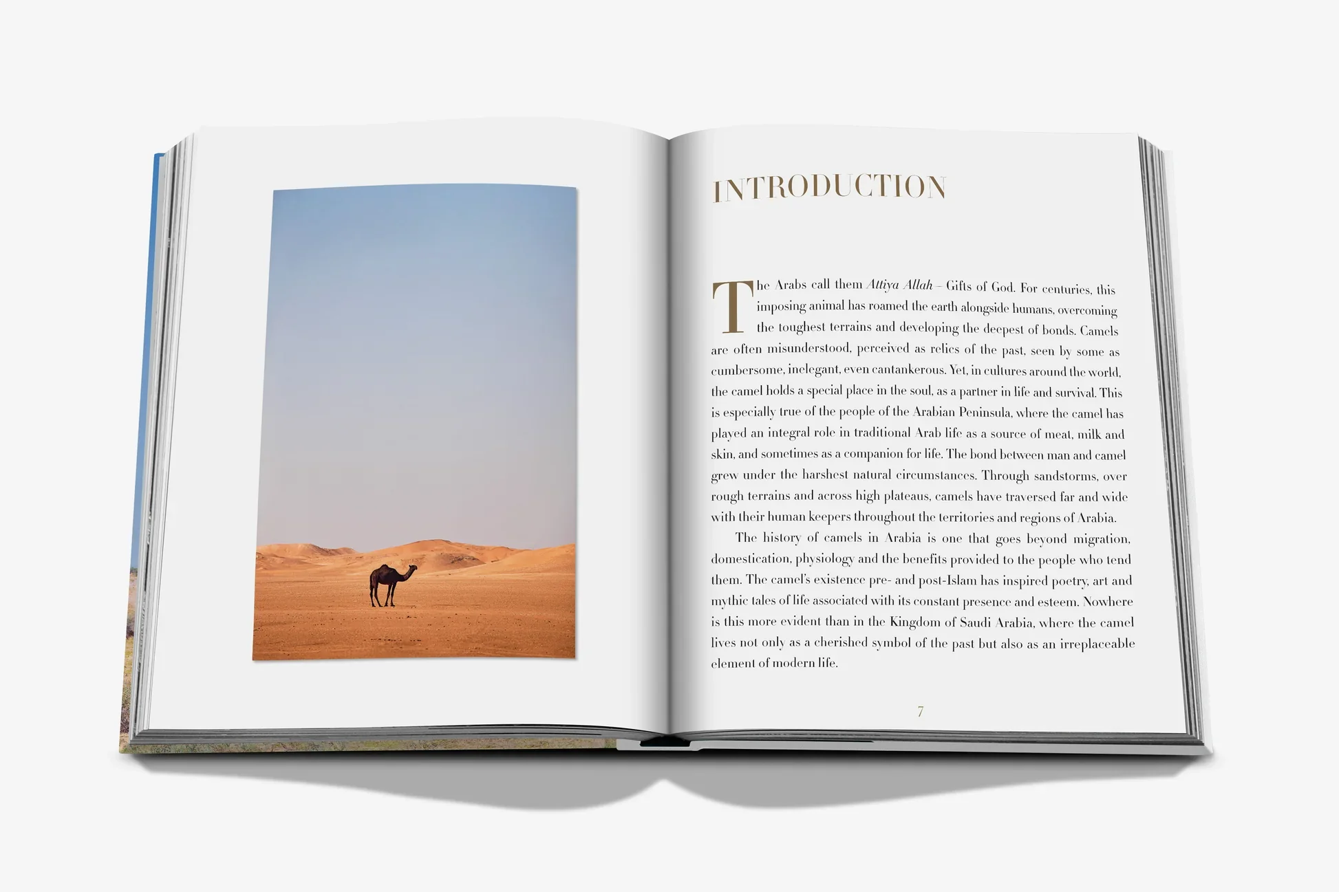Camels from Saudi Arabia (Classic) Book - Image 5