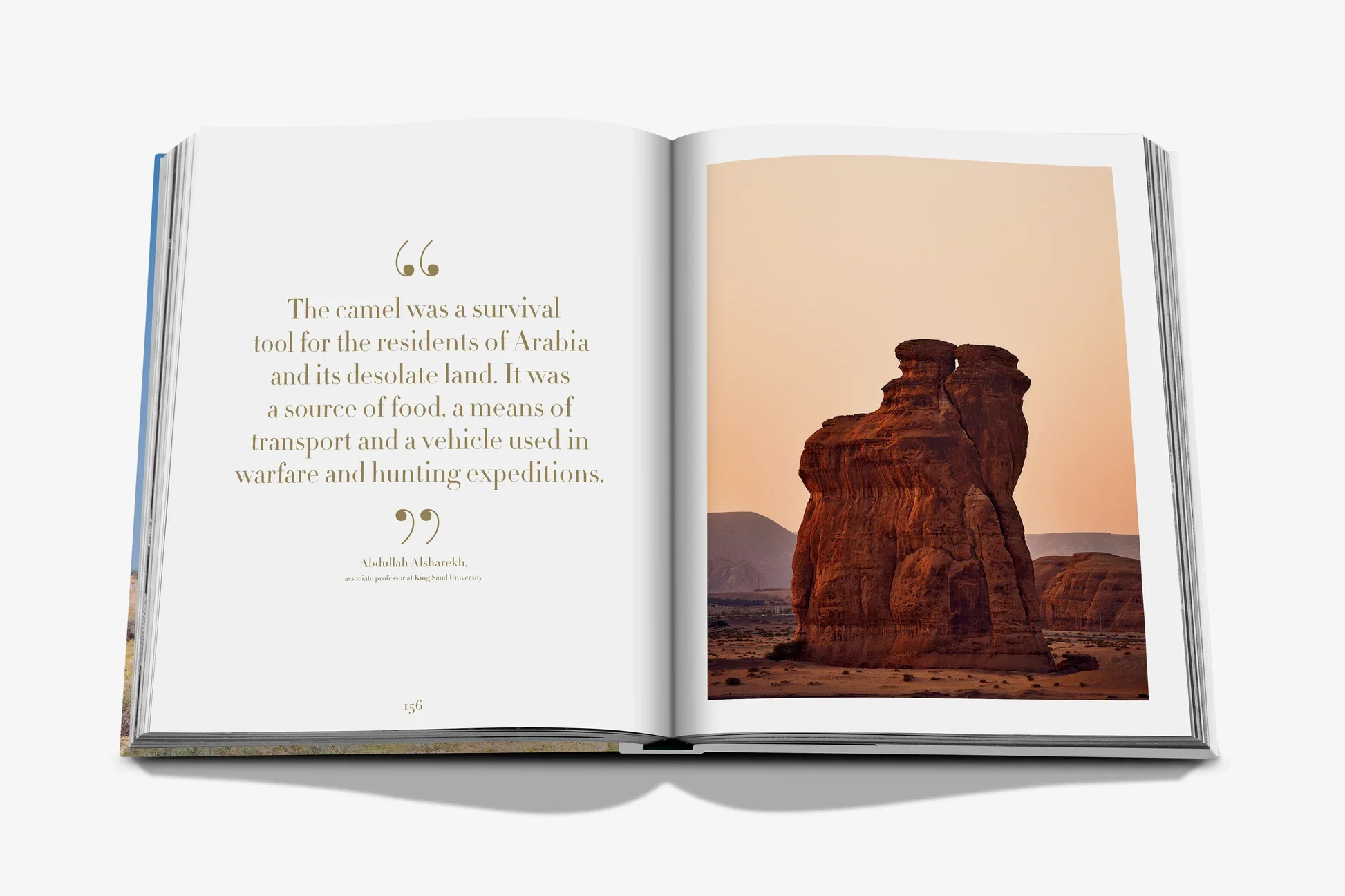 Camels from Saudi Arabia (Classic) Book - Image 6
