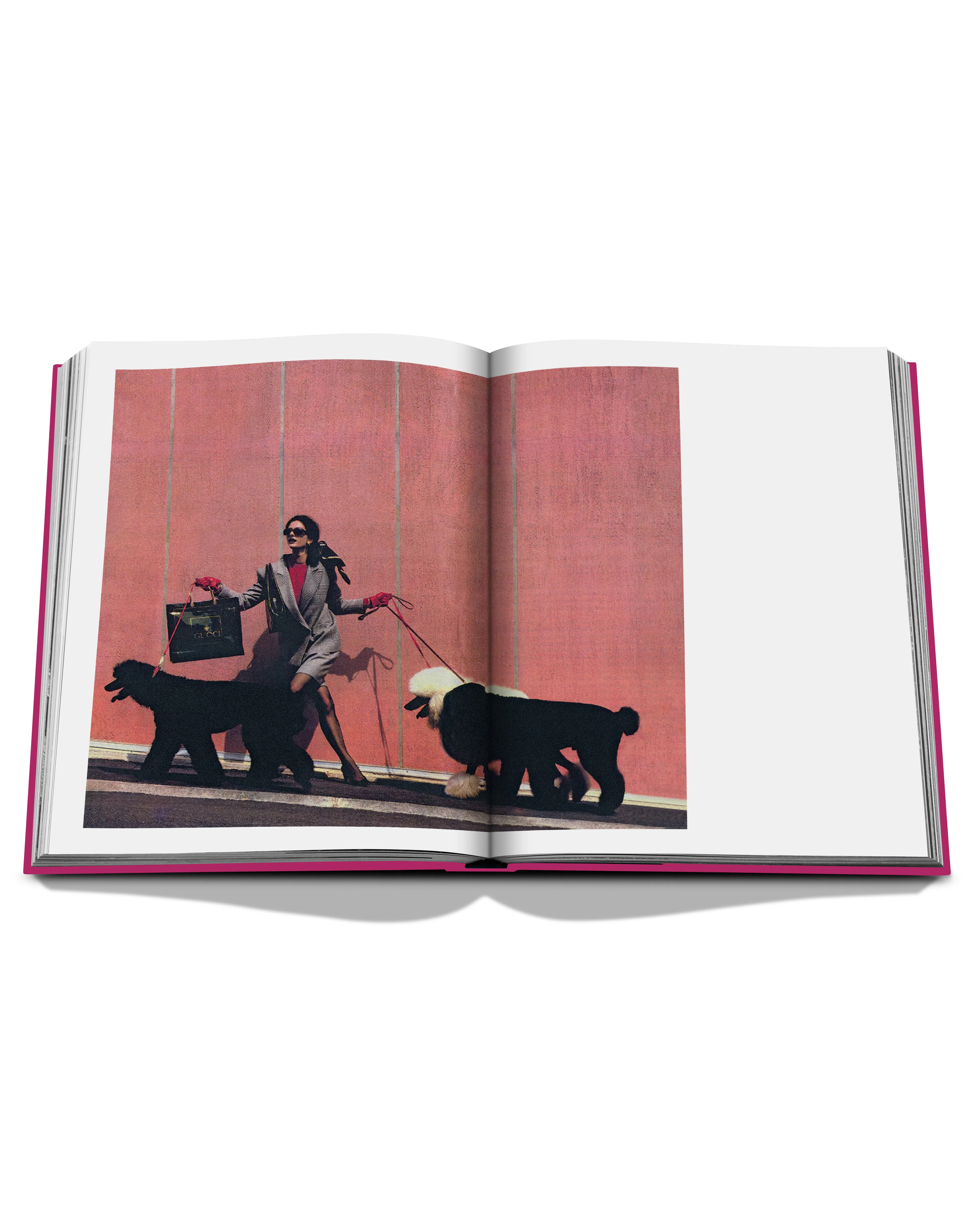 Chic Dogs Book - Image 4