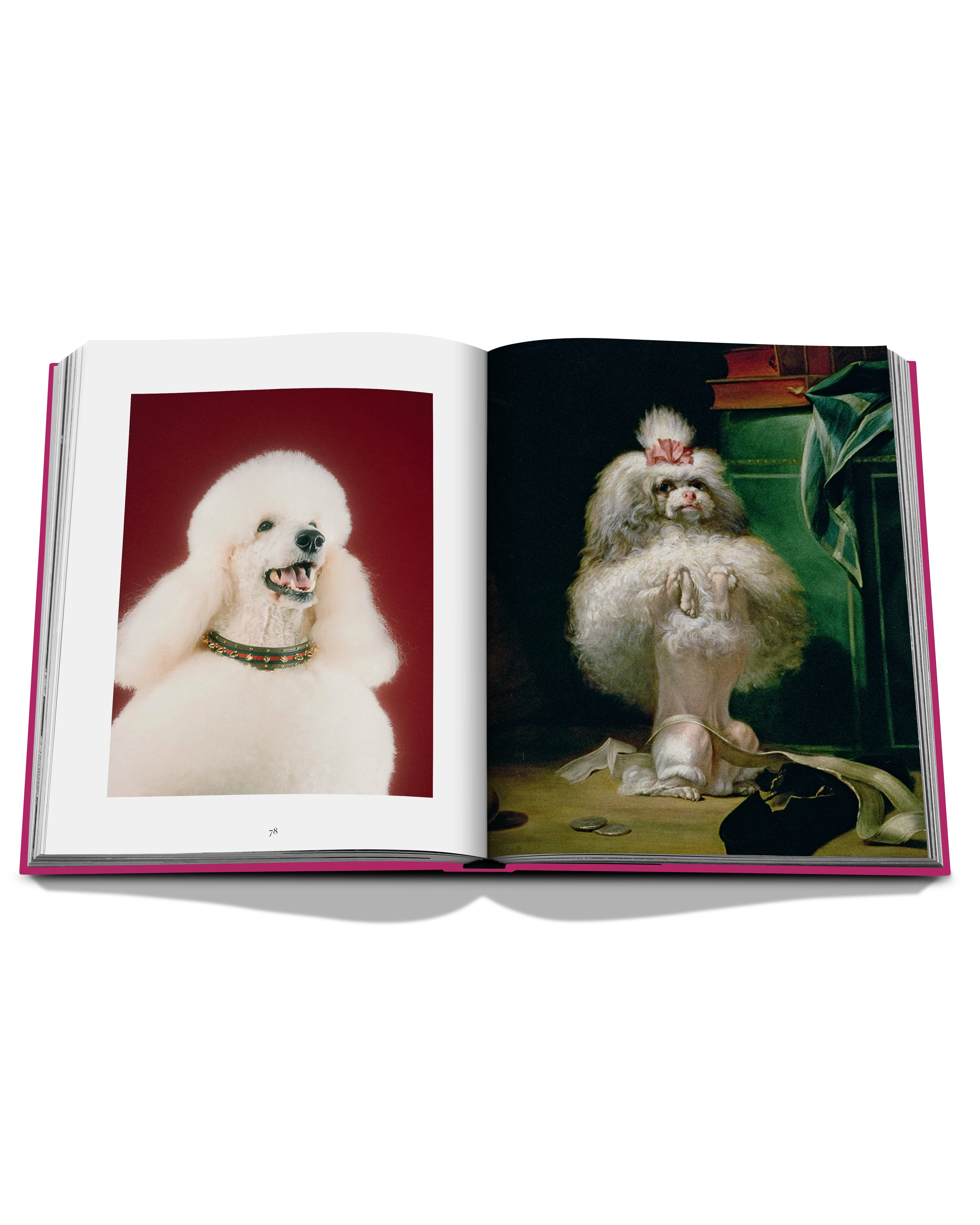 Chic Dogs Book - Image 5