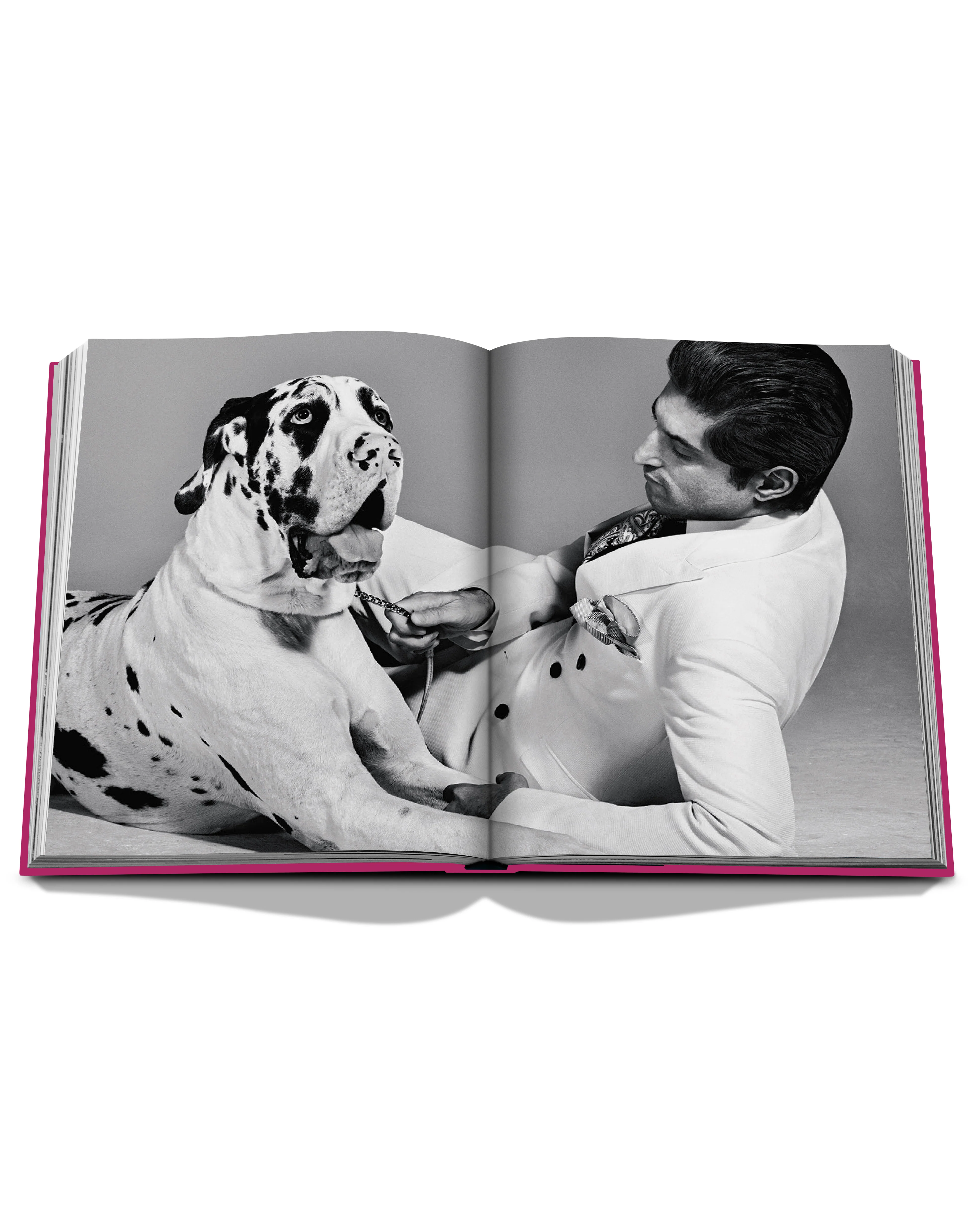 Chic Dogs Book - Image 6