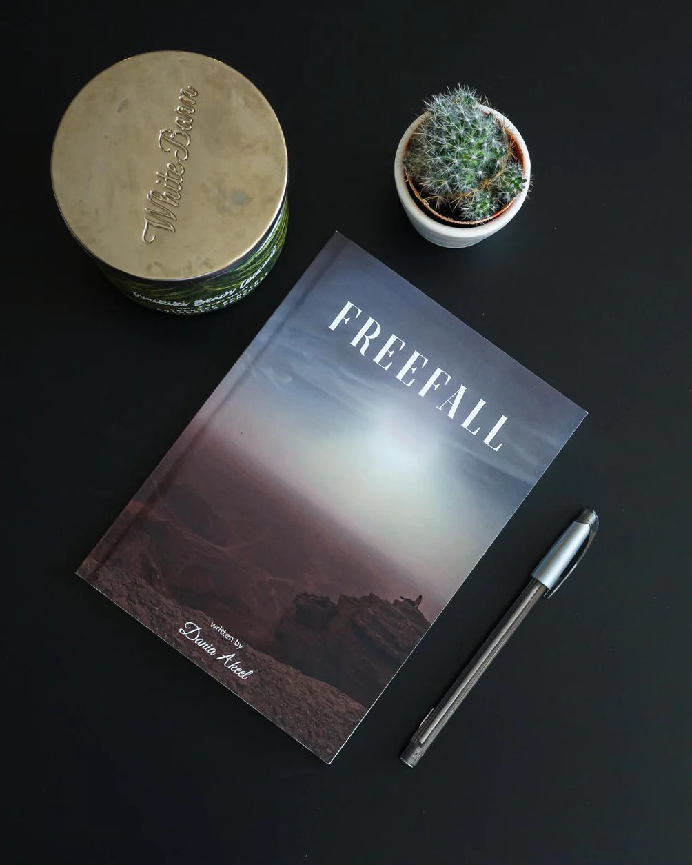 Freefall Book - Image 3