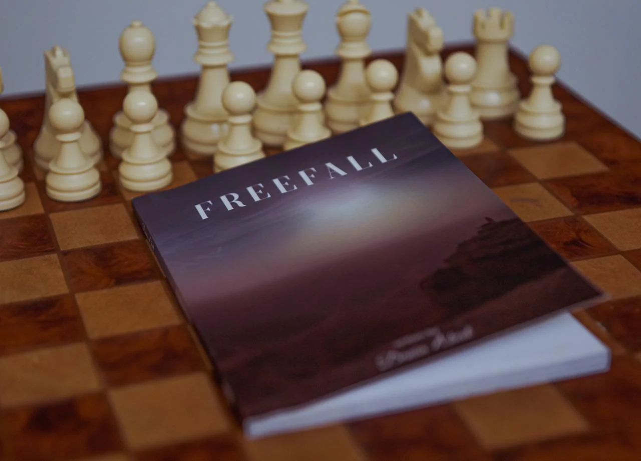Freefall Book - Image 4