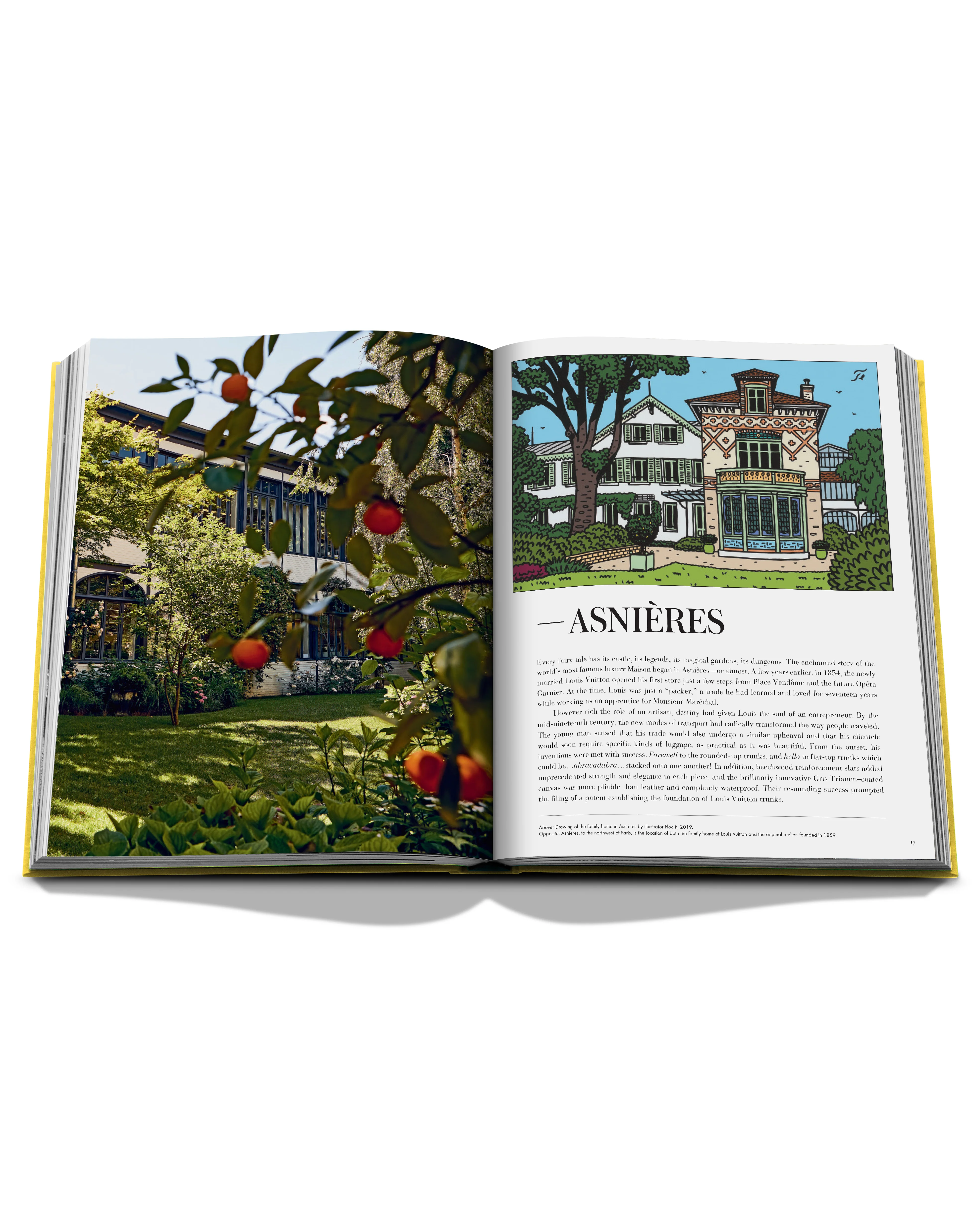 From Louis to Vuitton (English) Book - Image 8