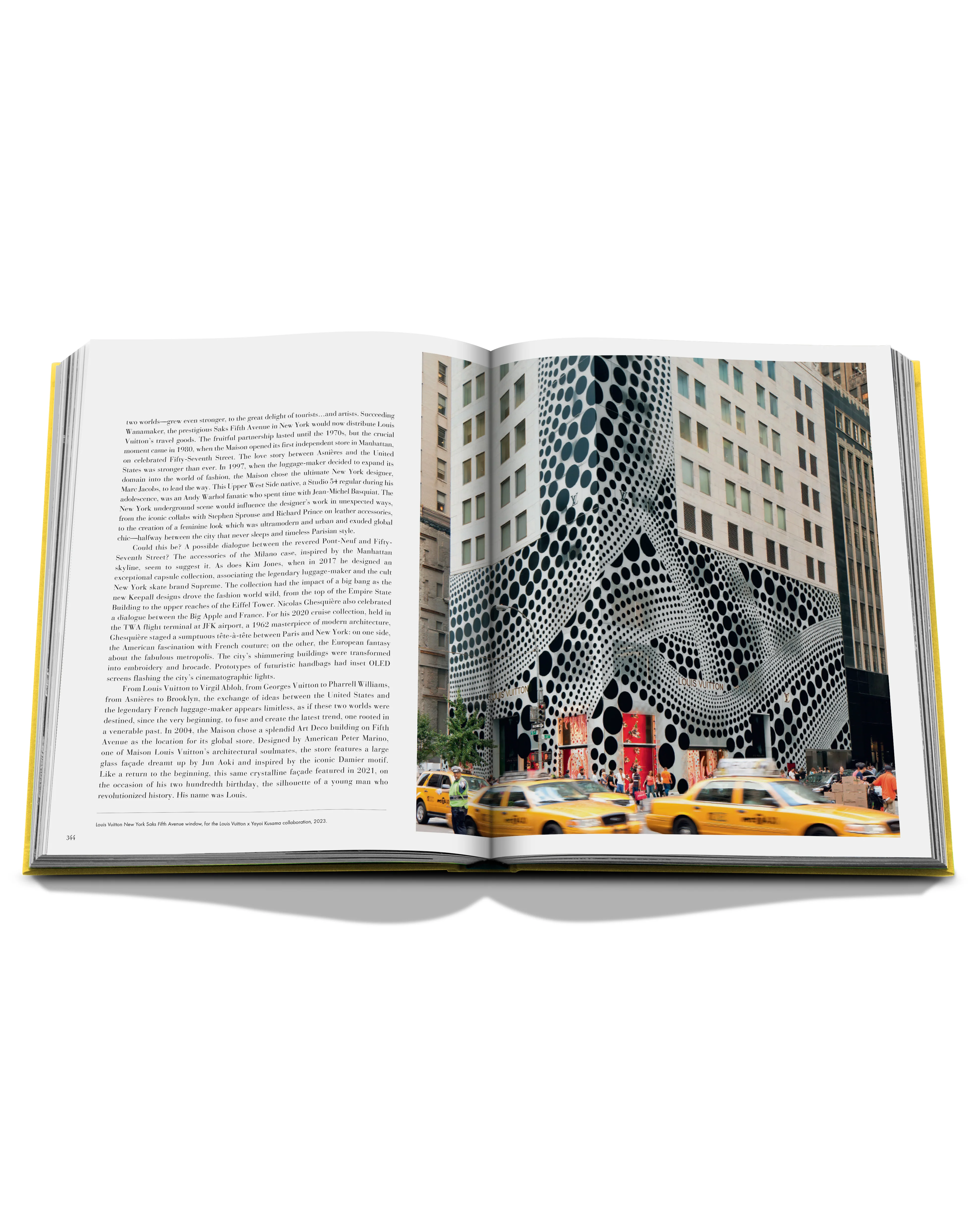From Louis to Vuitton (English) Book - Image 9