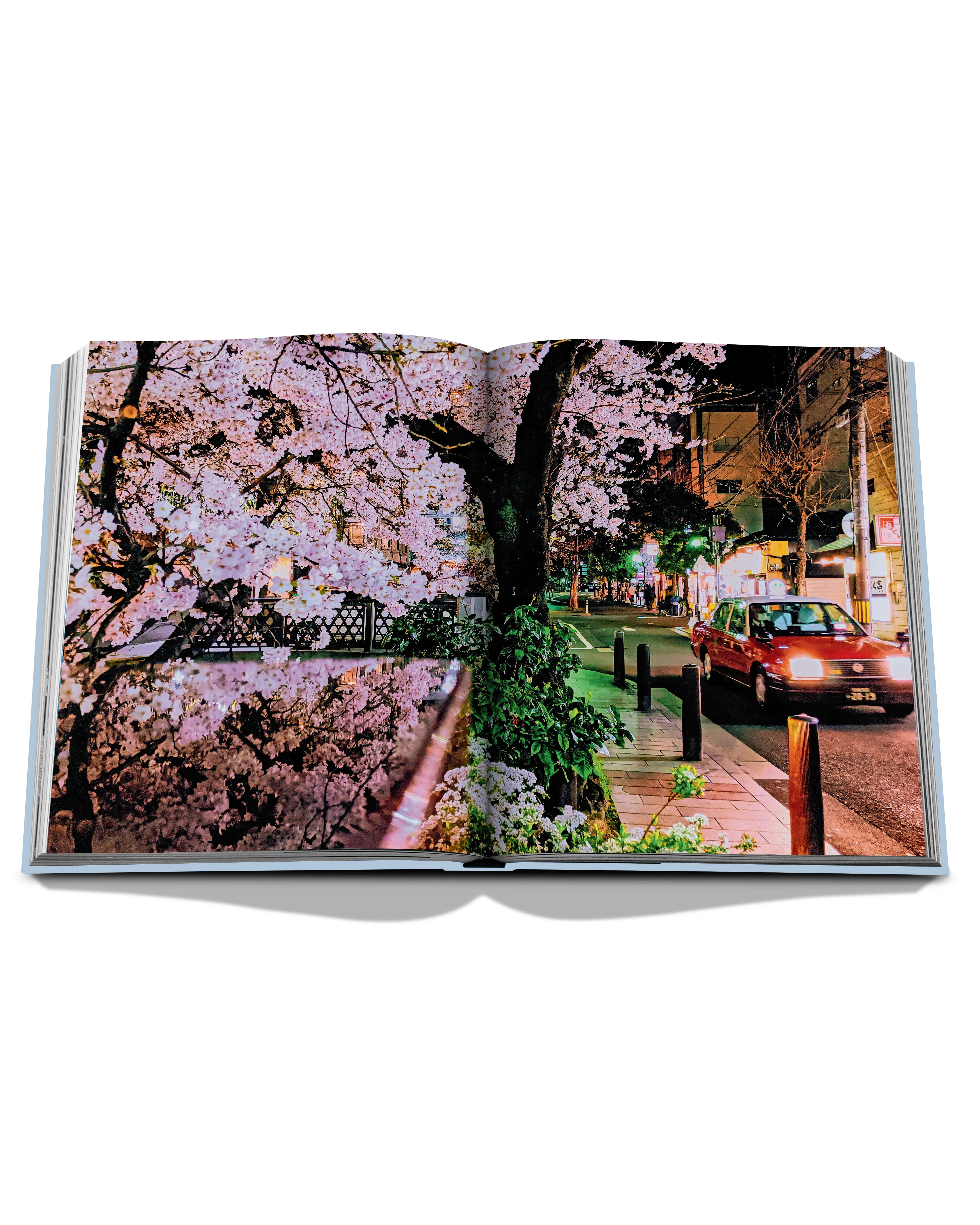 Kyoto Serenity Book - Image 4
