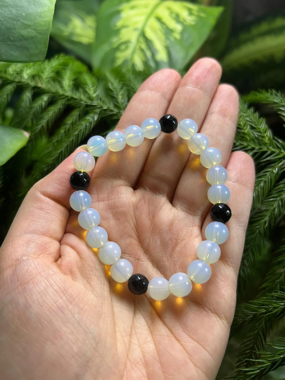 Moonstone With Black Onyx Bracelet