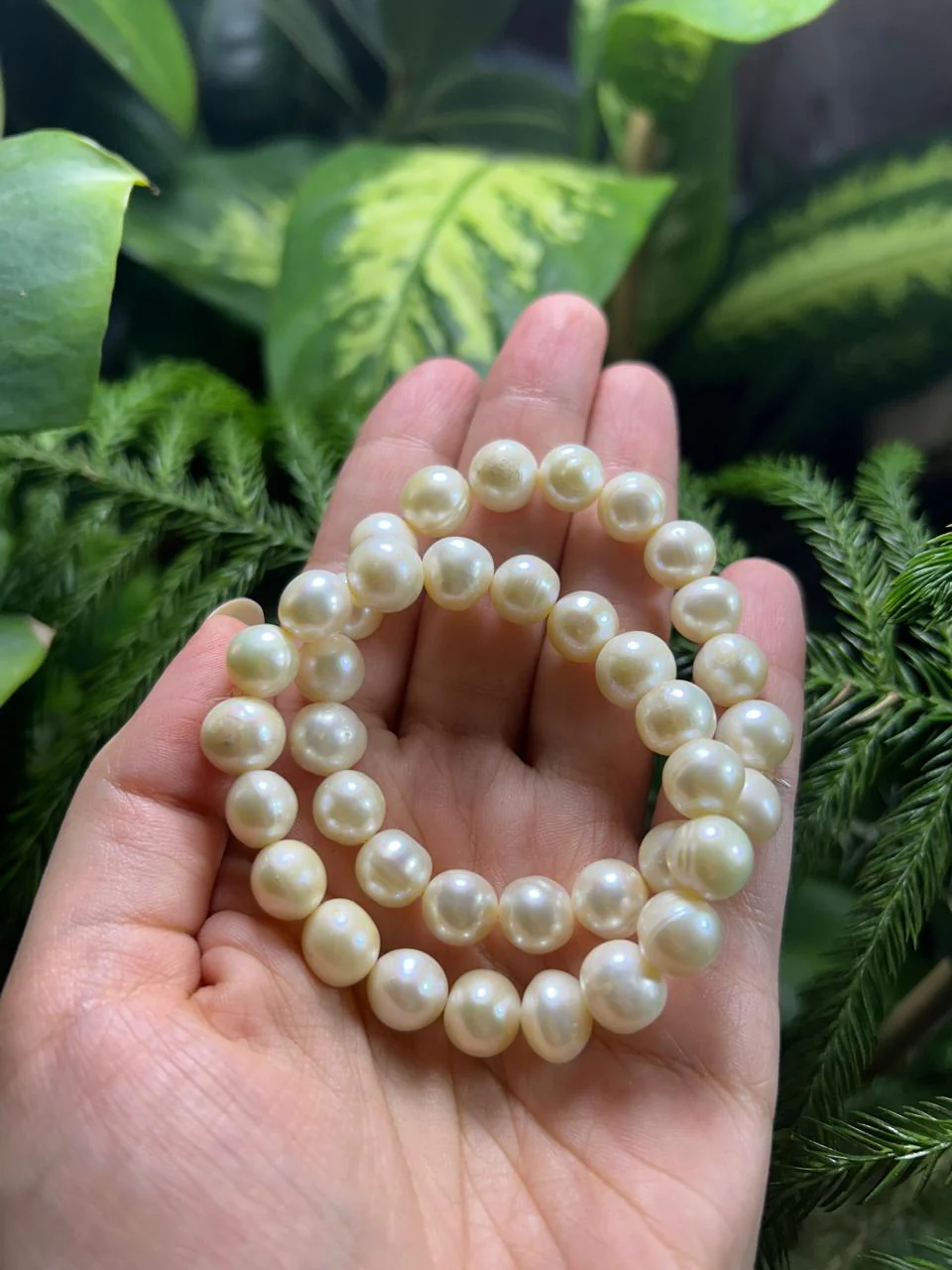 Natural Pearl Bracelets - Image 2