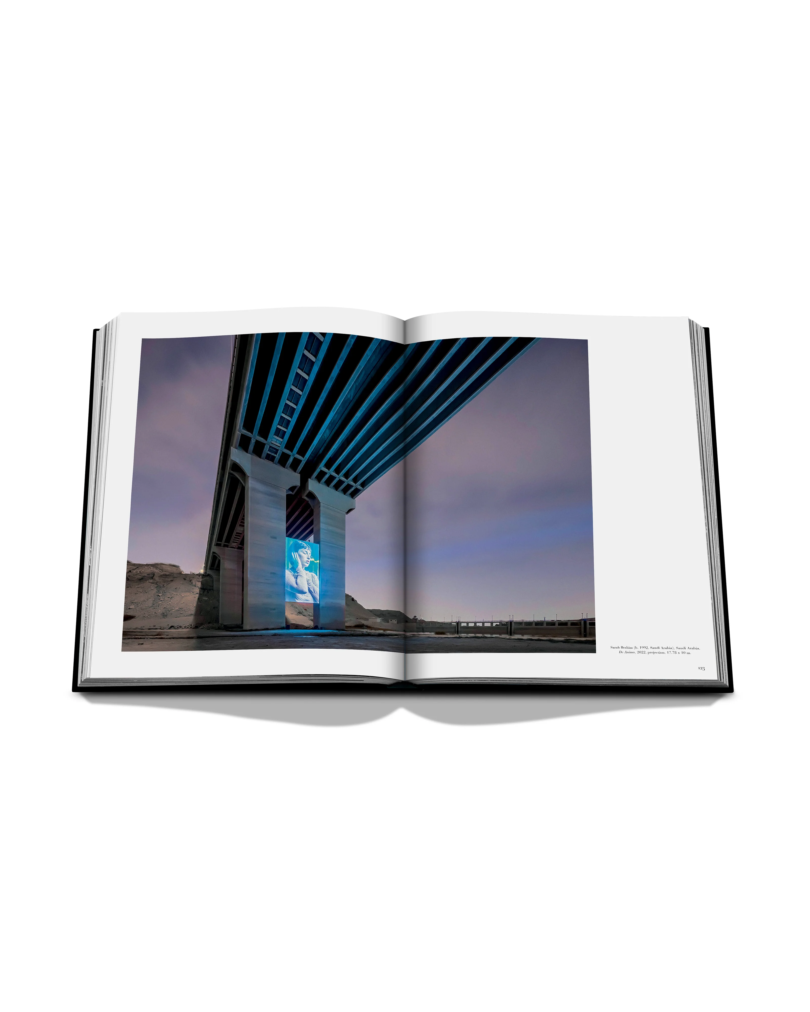 Noor Riyadh: A New Visual Culture (Classic) Book - Image 2