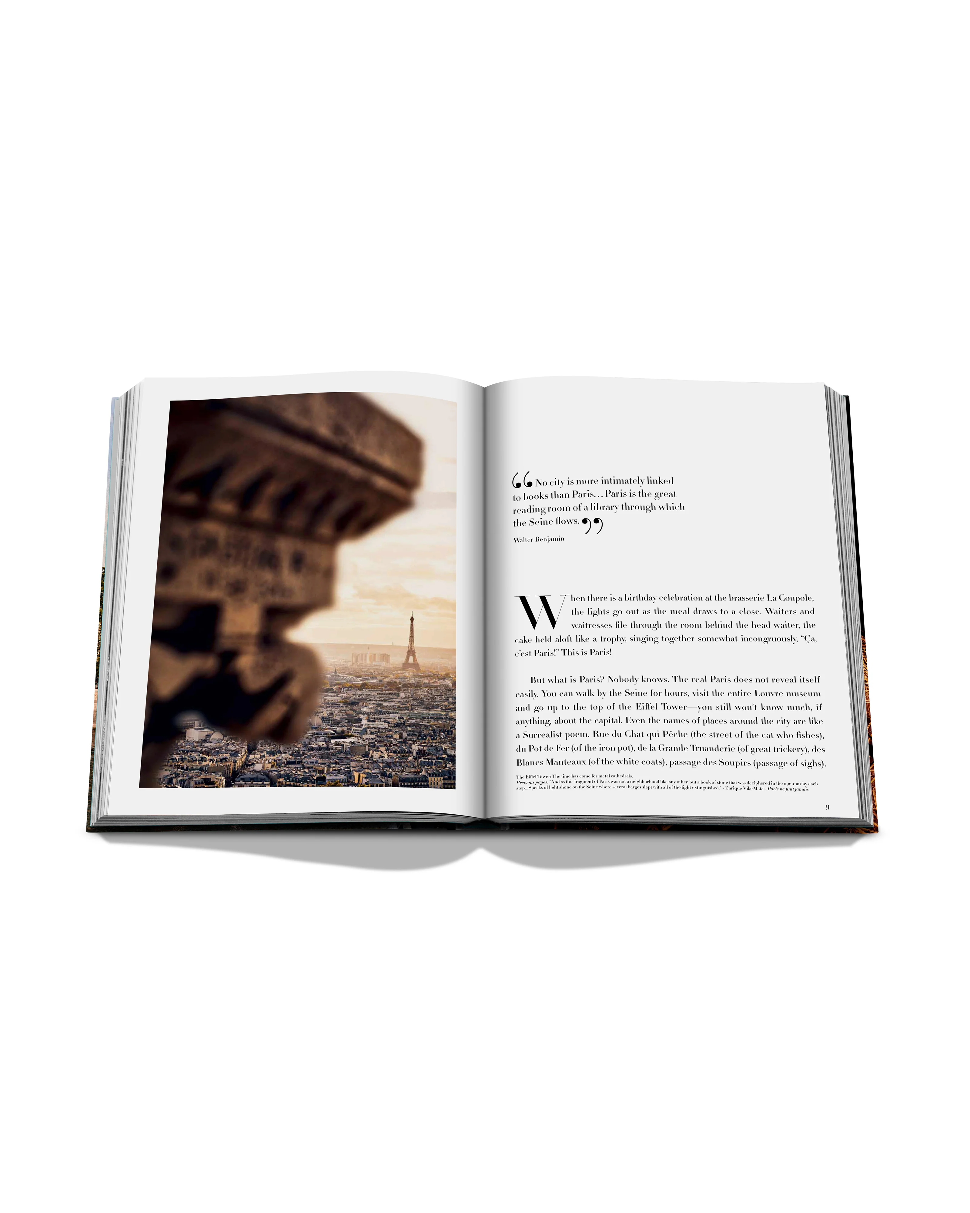 Paris Chic Book - Image 3