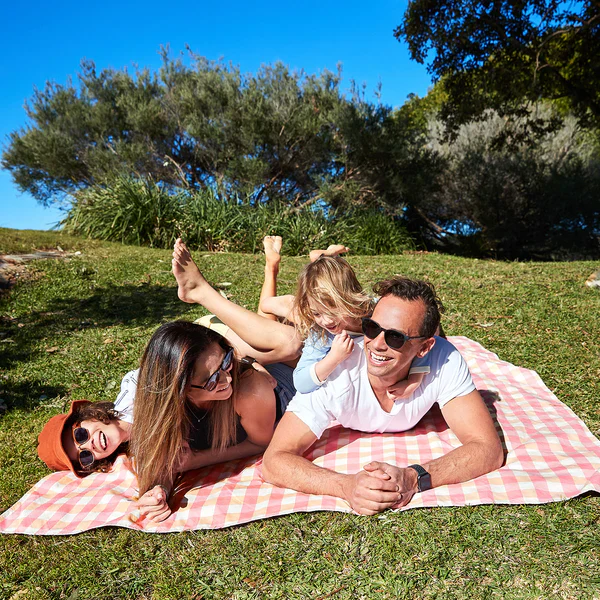 Picnic Blanket - Strawberries & Cream - Image 4