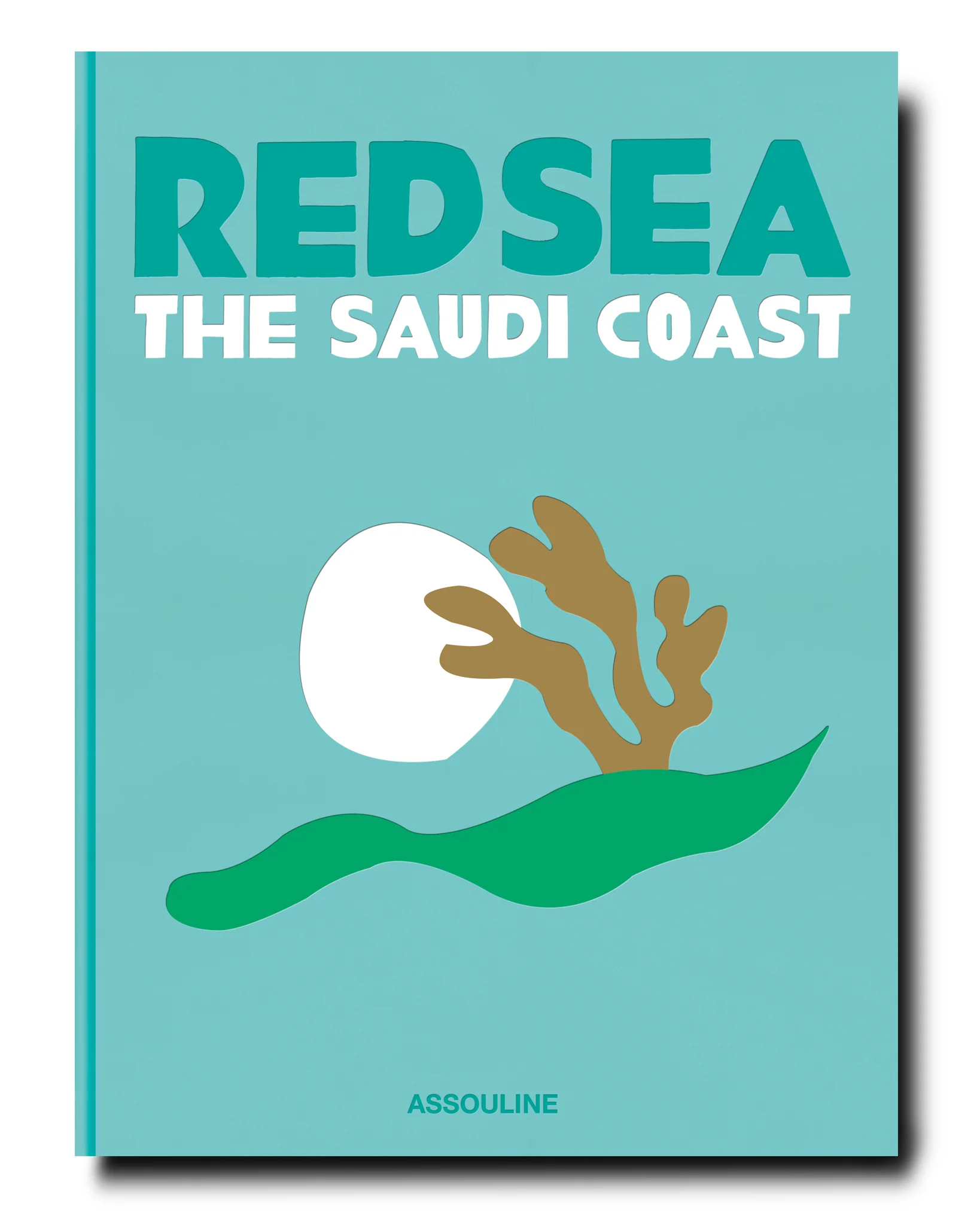 Saudi Arabia: Red Sea, The Saudi Coast