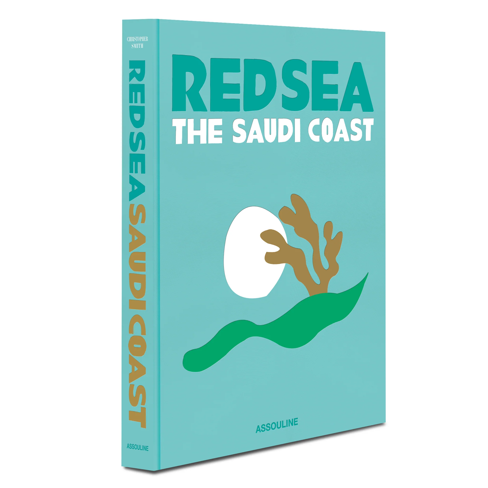 Saudi Arabia: Red Sea, The Saudi Coast - Image 3