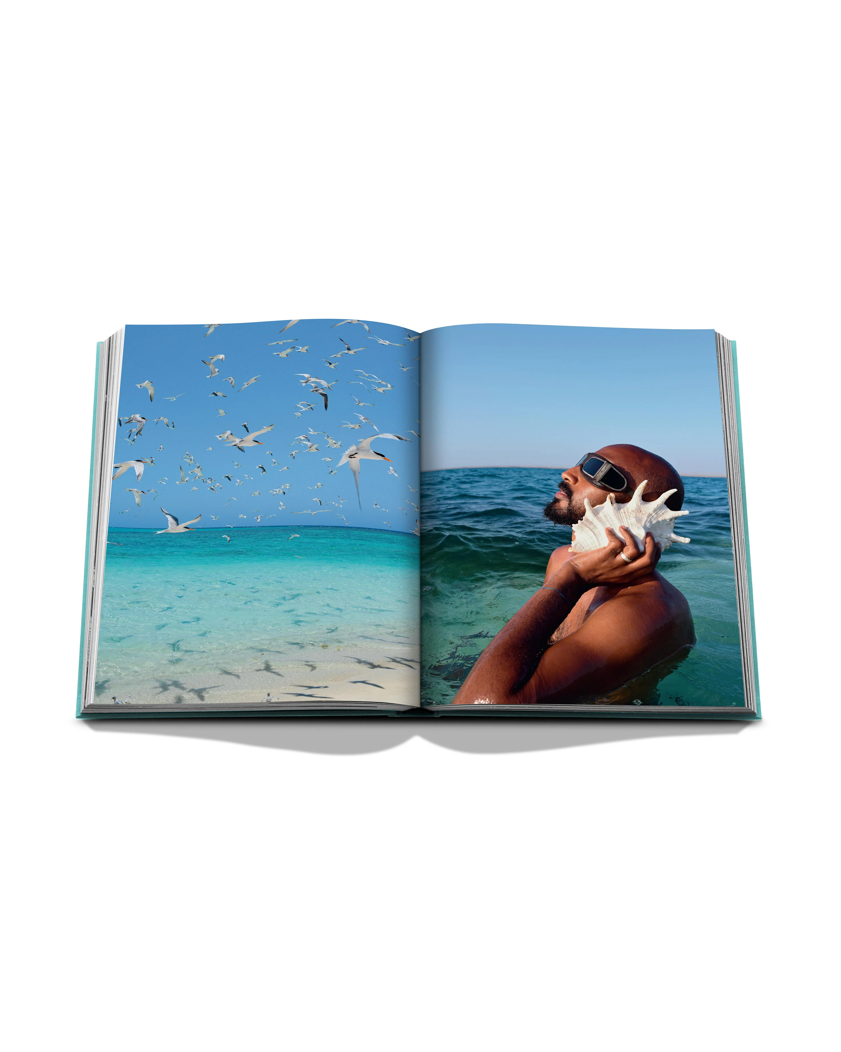 Saudi Arabia: Red Sea, The Saudi Coast - Image 4