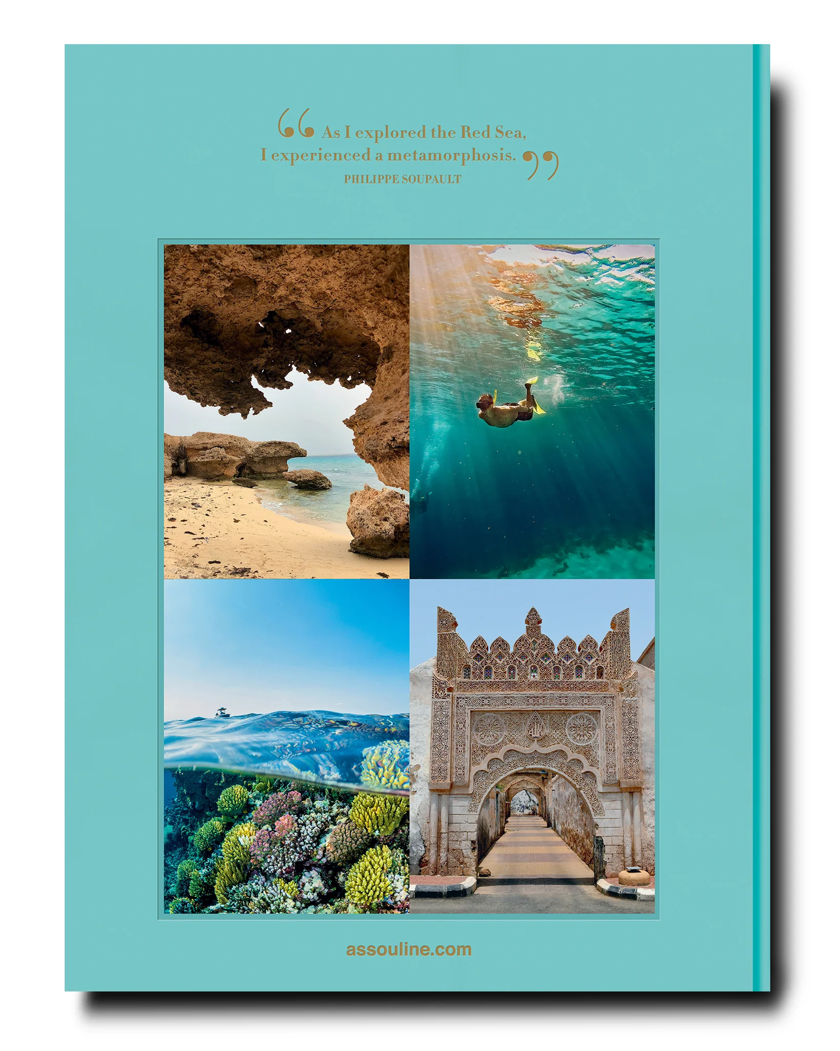 Saudi Arabia: Red Sea, The Saudi Coast - Image 6