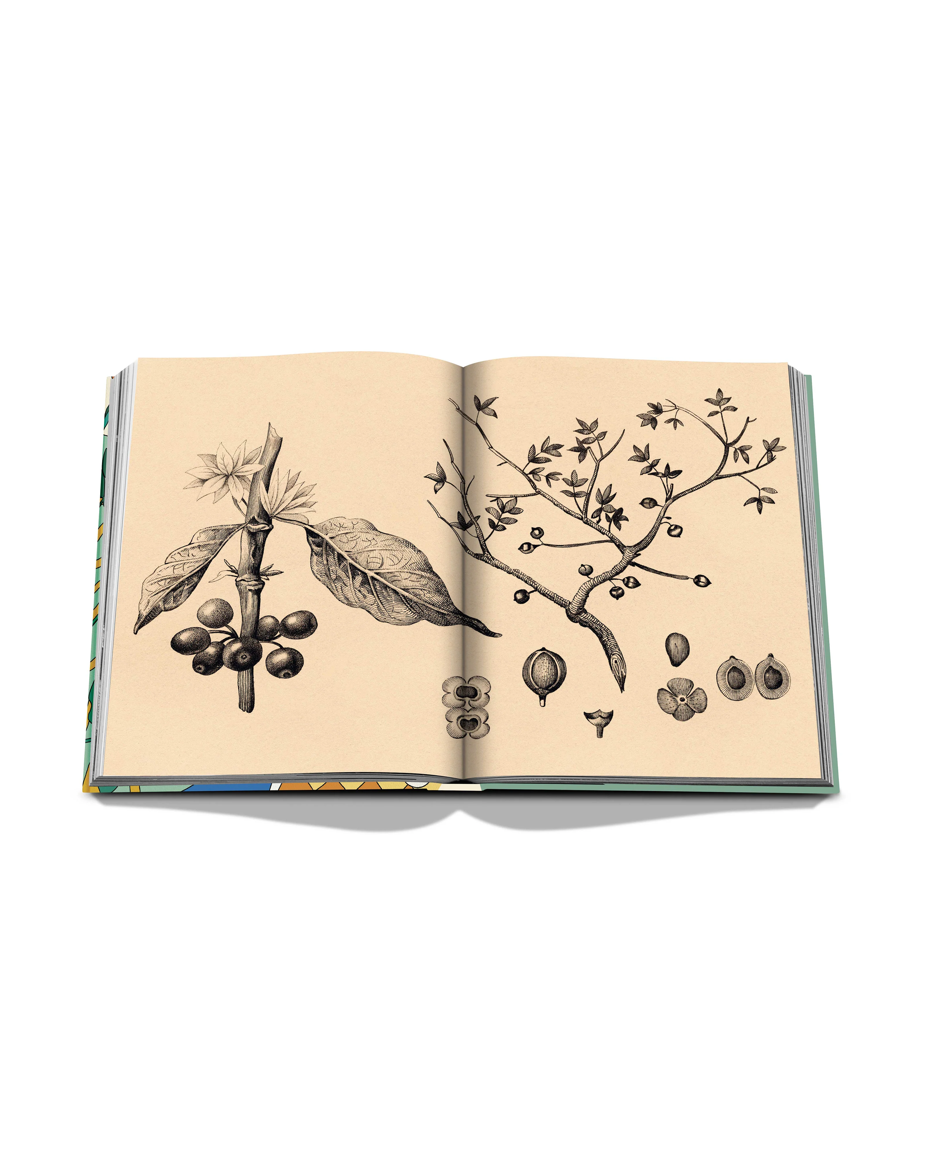 Saudi Coffee: The Culture of Hospitality Book - Image 4