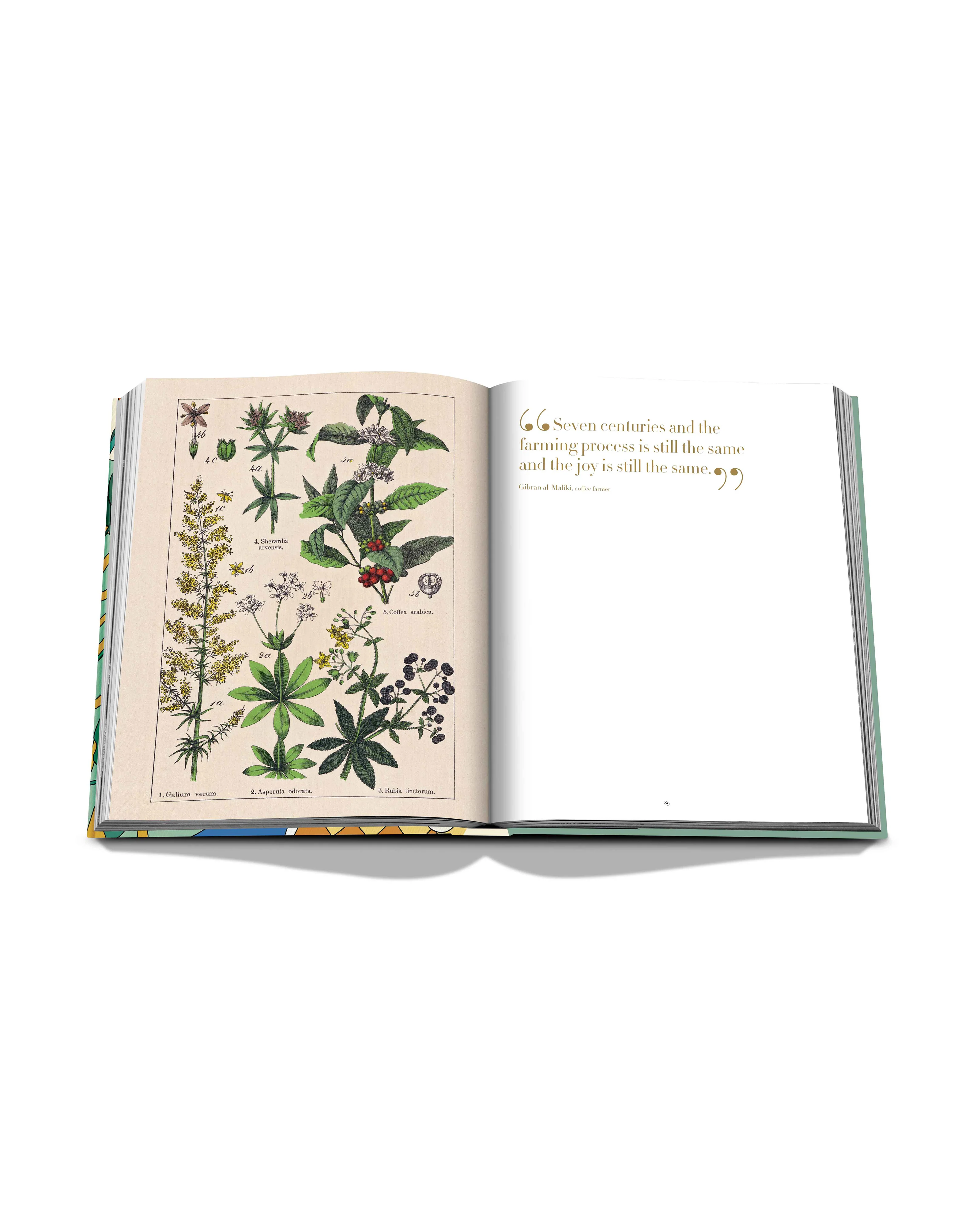 Saudi Coffee: The Culture of Hospitality Book - Image 8