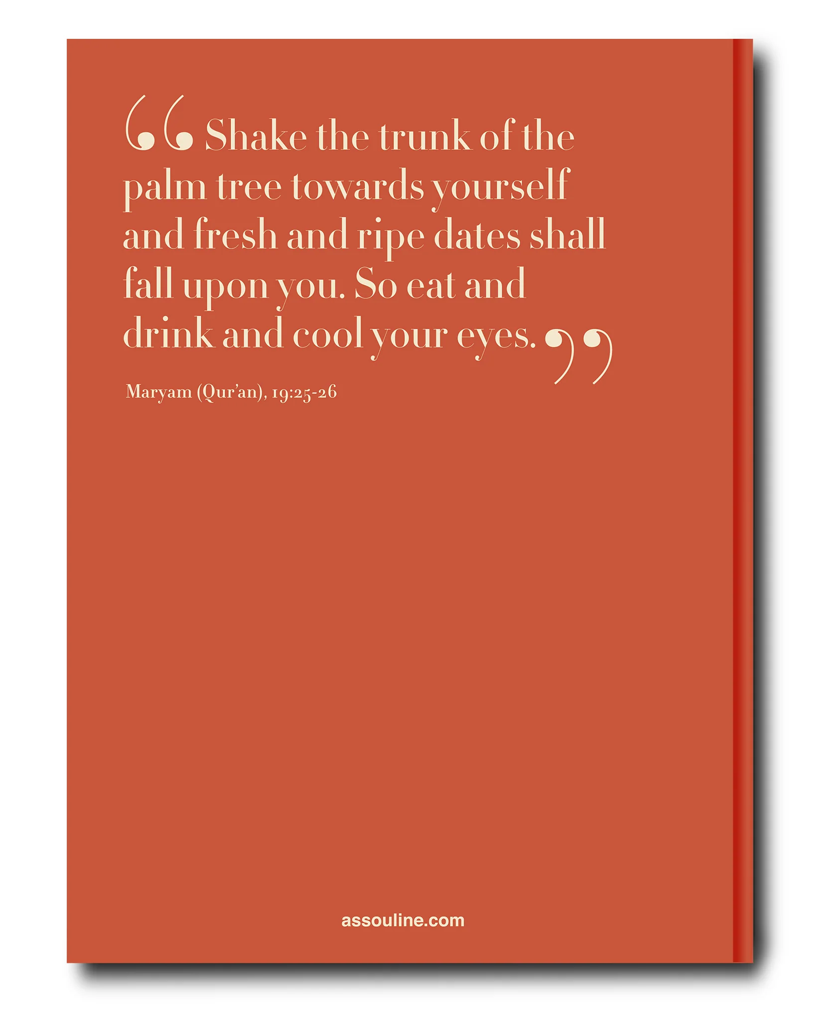 Saudi Dates: A Portrait of the Sacred Fruit Book - Image 10