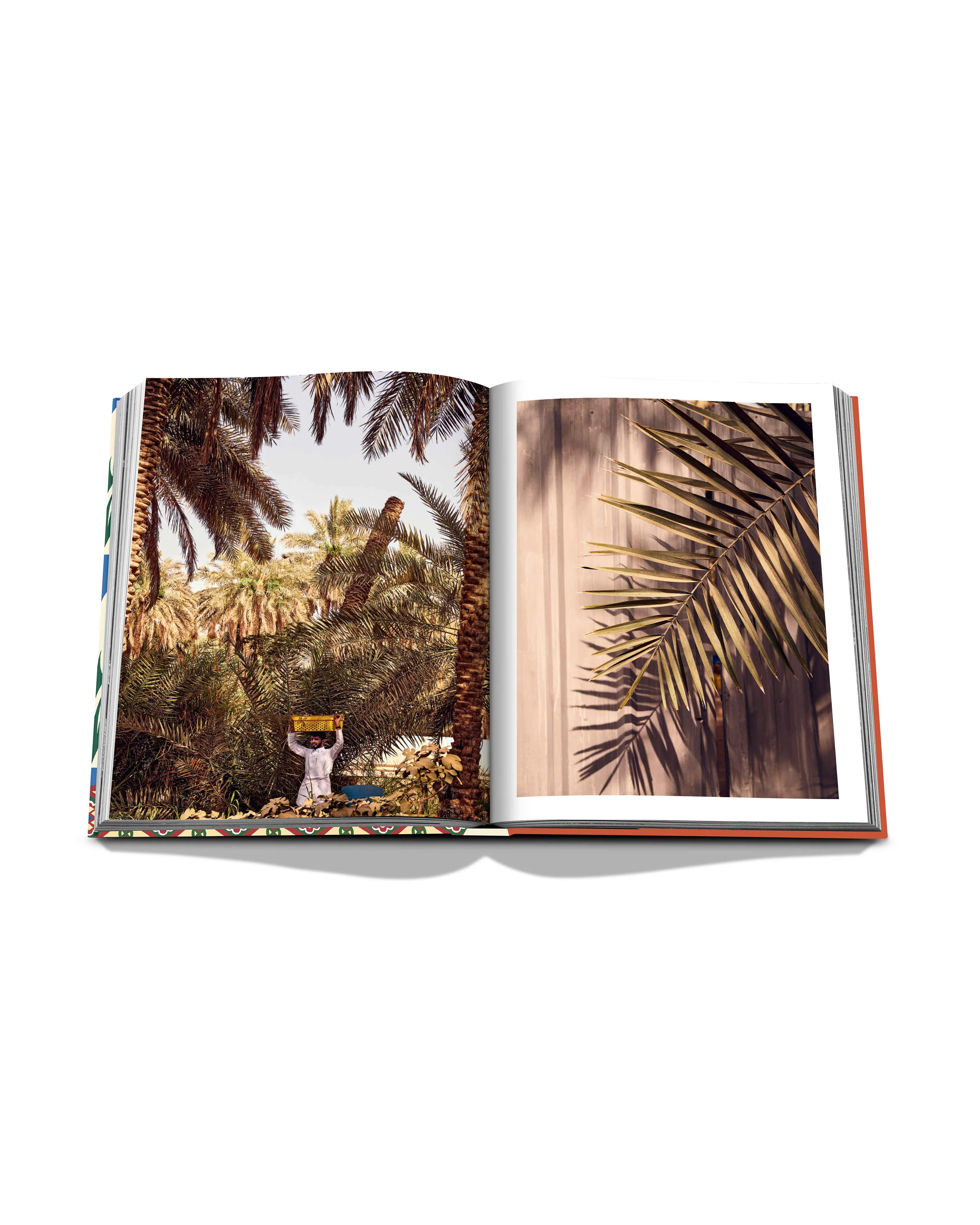 Saudi Dates: A Portrait of the Sacred Fruit Book - Image 3