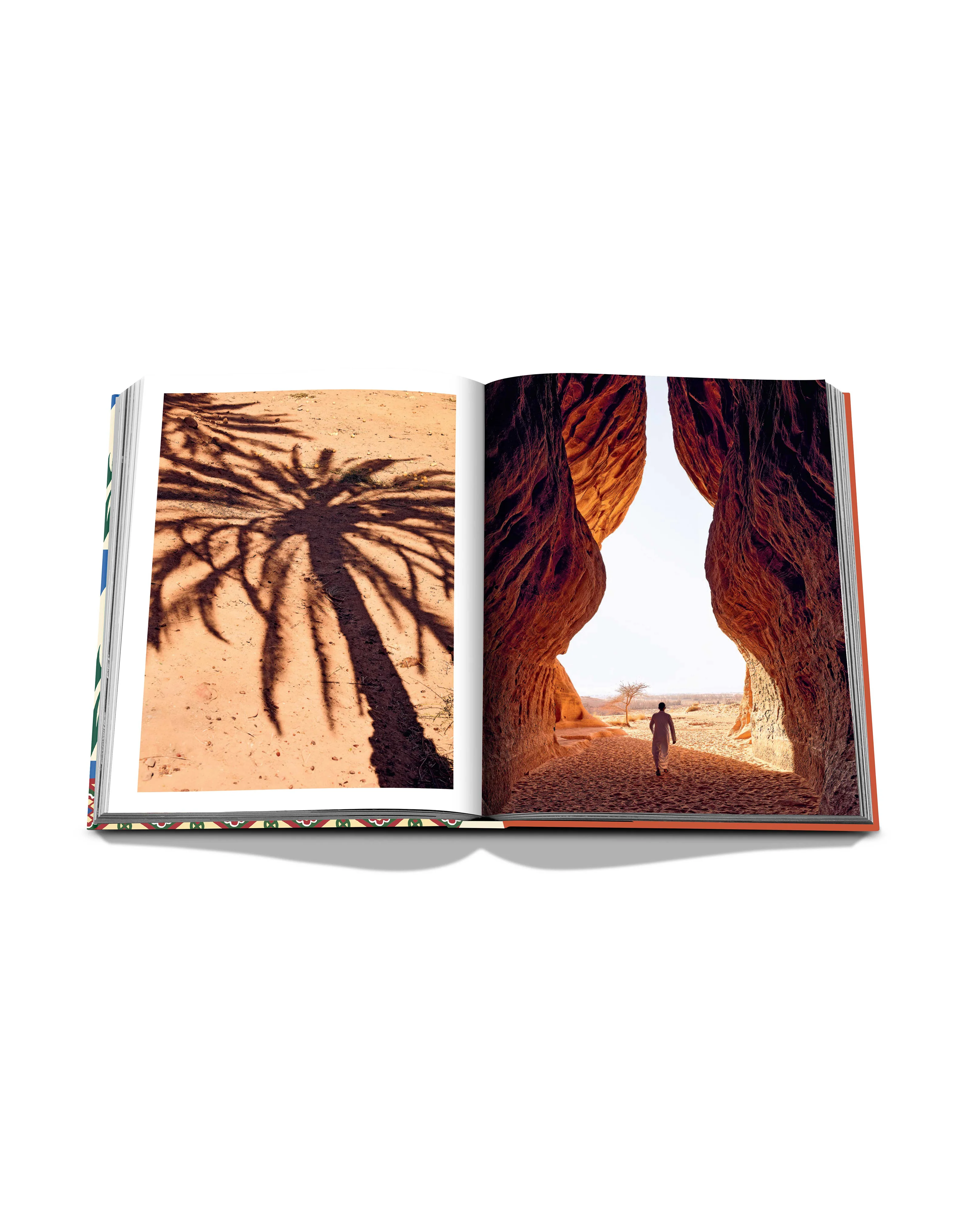Saudi Dates: A Portrait of the Sacred Fruit Book - Image 5