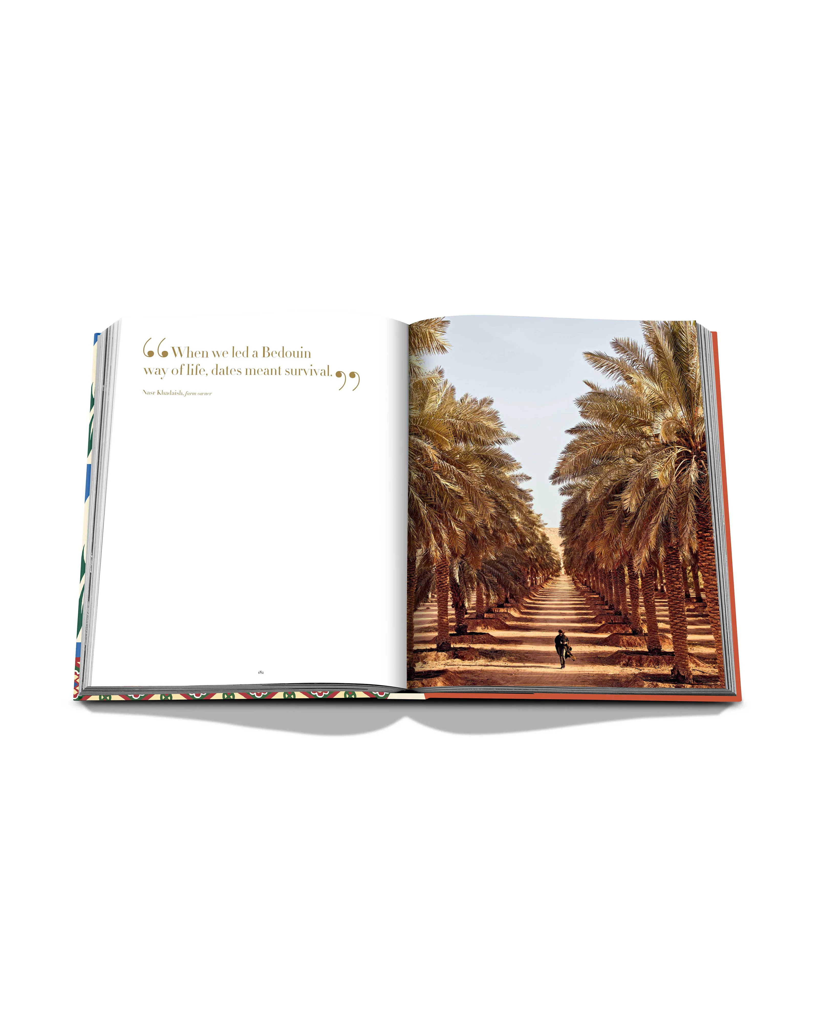 Saudi Dates: A Portrait of the Sacred Fruit Book - Image 6
