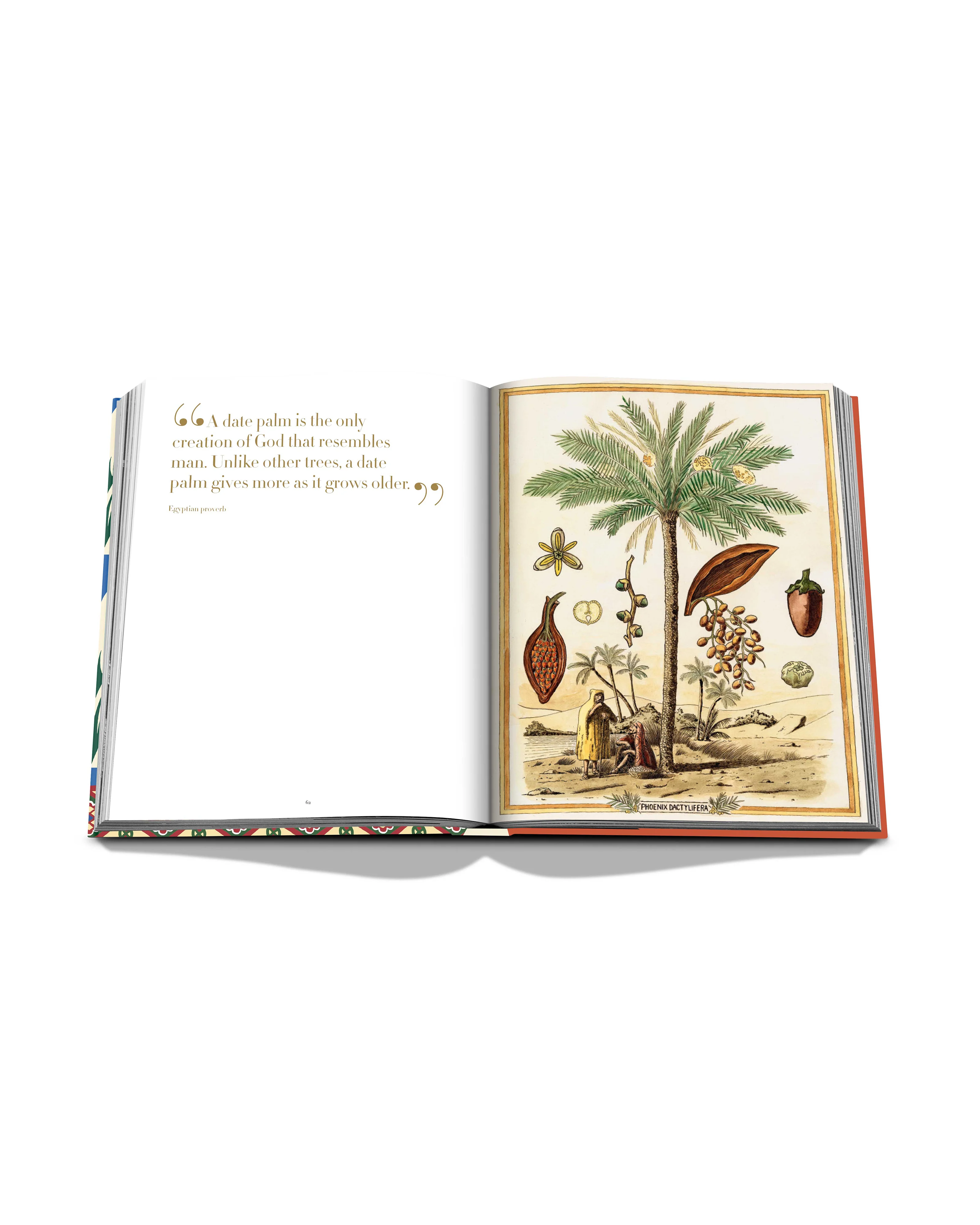 Saudi Dates: A Portrait of the Sacred Fruit Book - Image 8