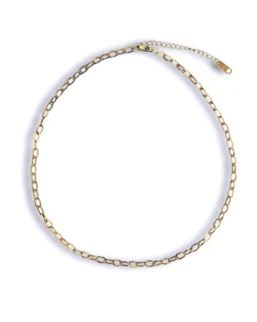 Small Round Shaped Chain Necklace