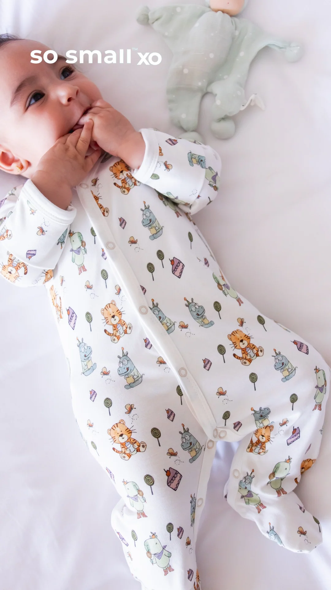 "Sweetheart Picnics" Middle Snap Footie