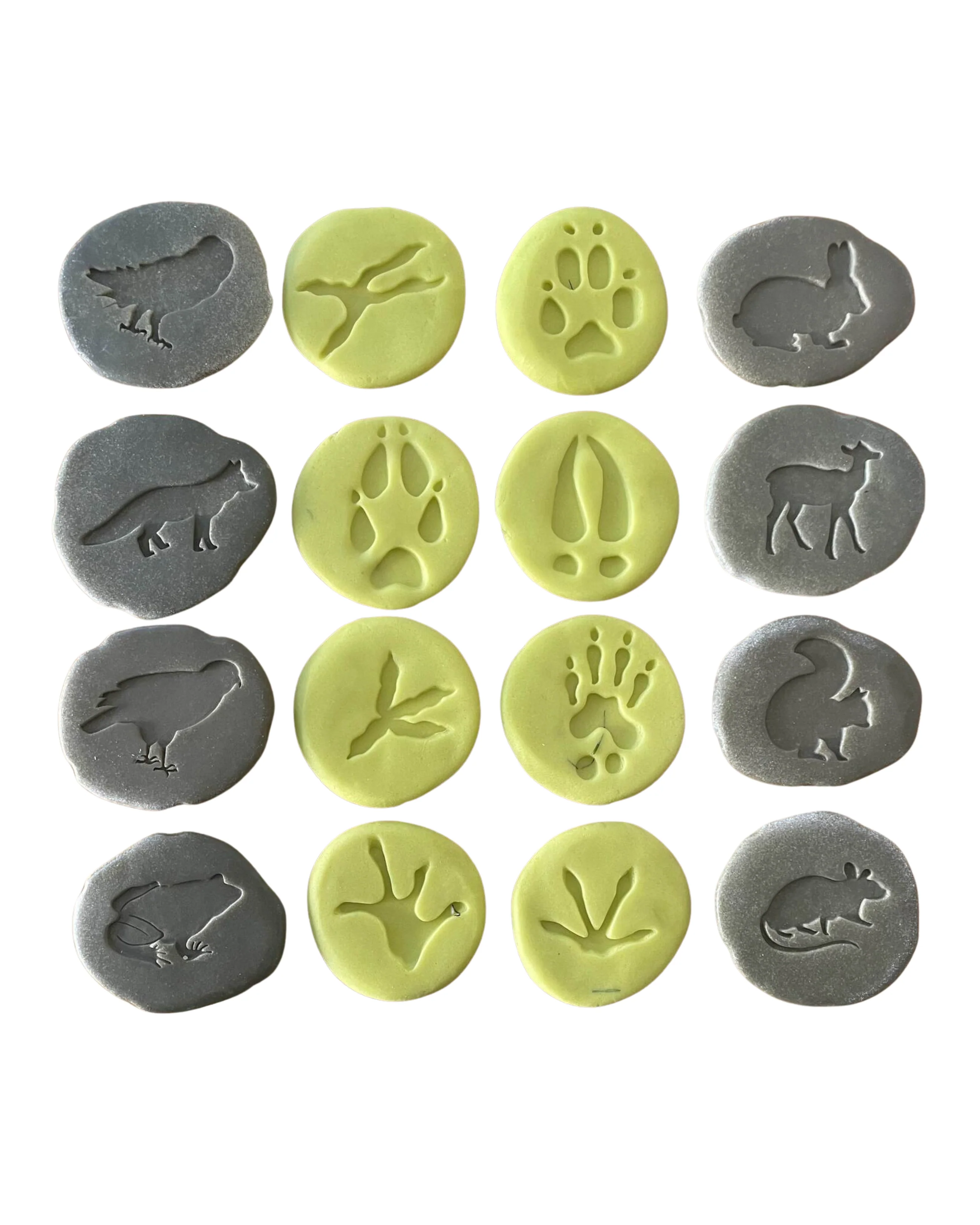 Woodland Footprints / Exploration Stones