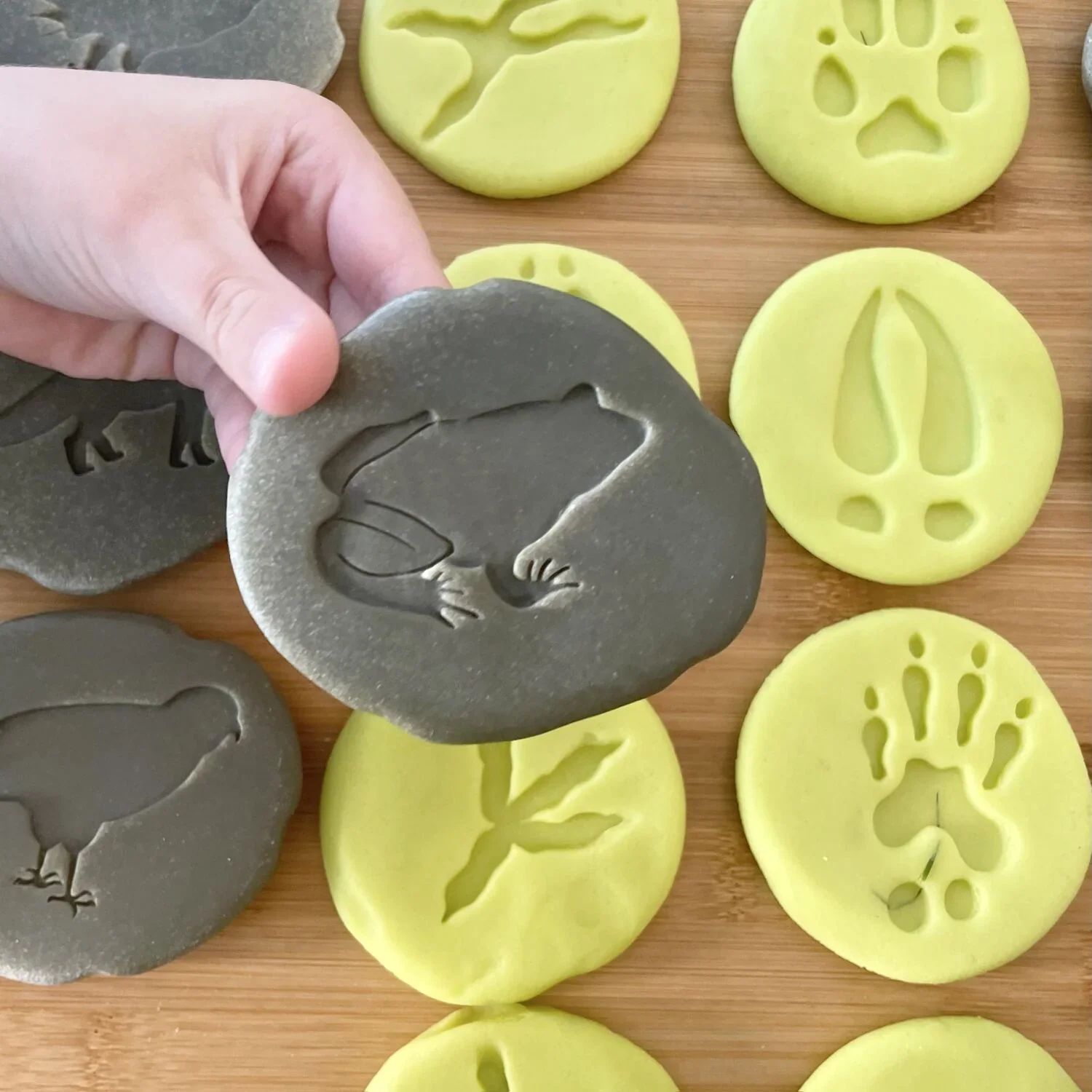 Woodland Footprints / Exploration Stones - Image 2