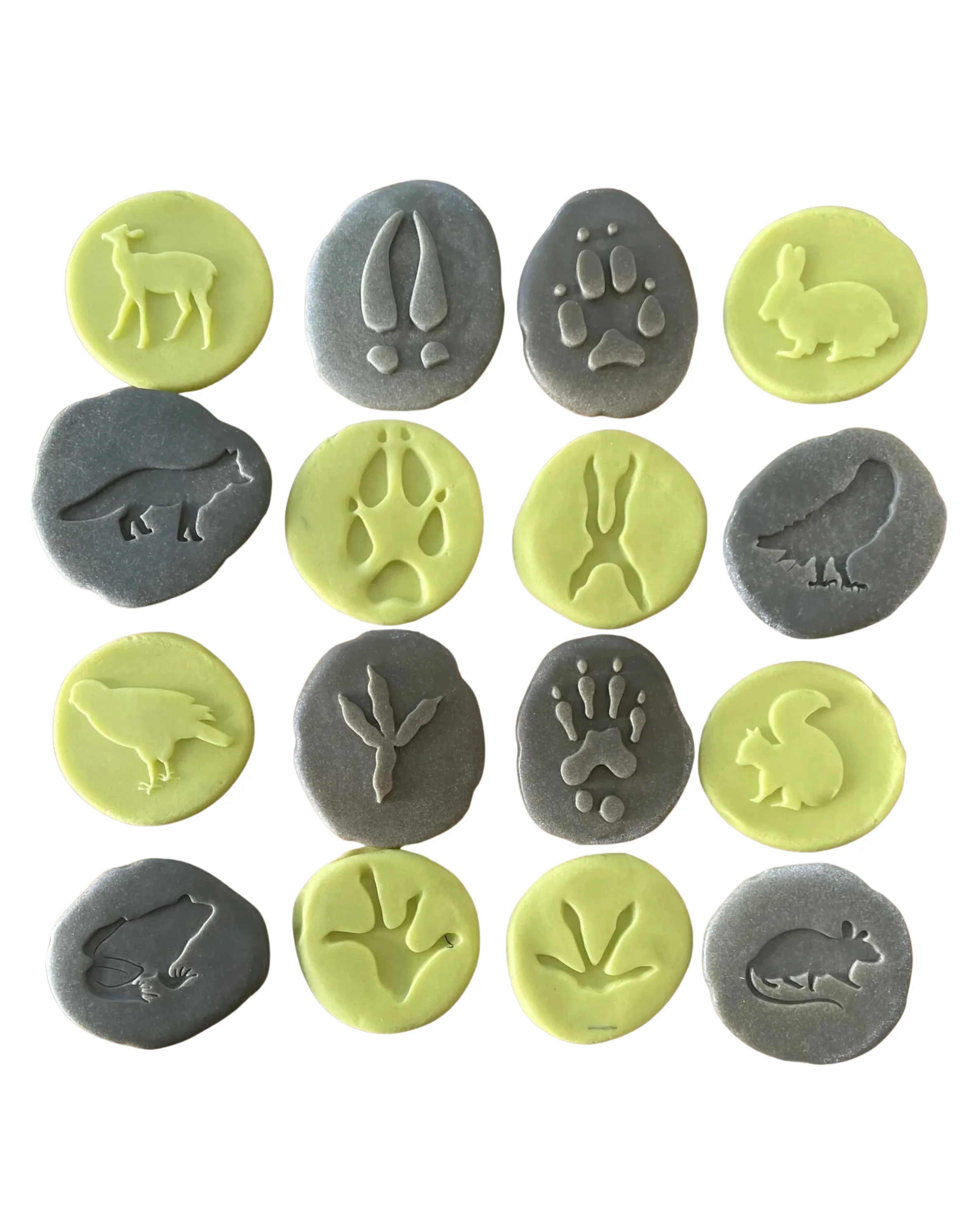 Woodland Footprints / Exploration Stones - Image 3