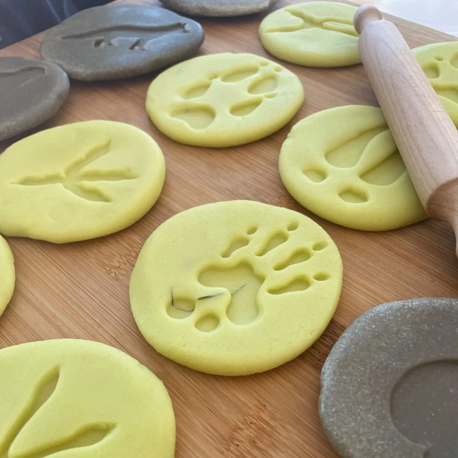 Woodland Footprints / Exploration Stones - Image 4