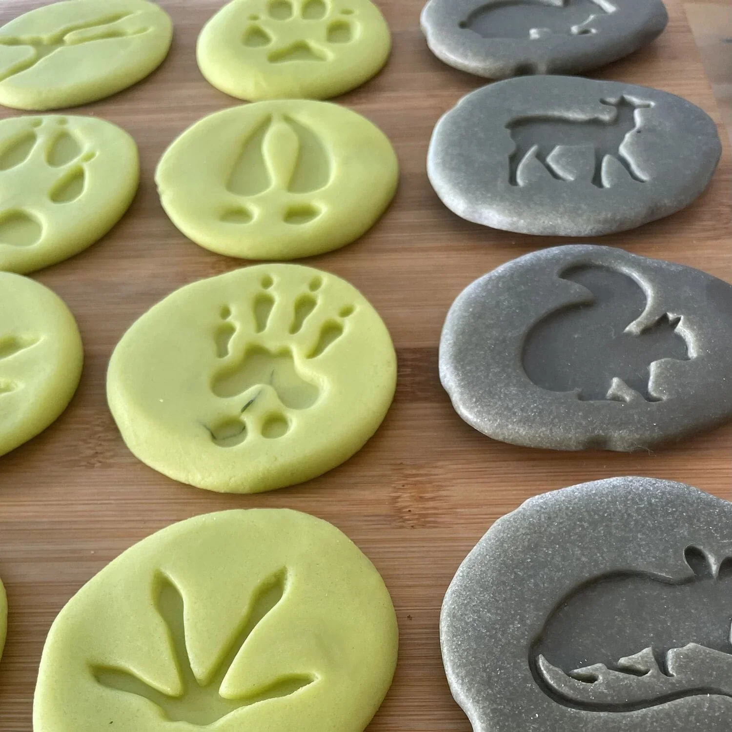 Woodland Footprints / Exploration Stones - Image 5